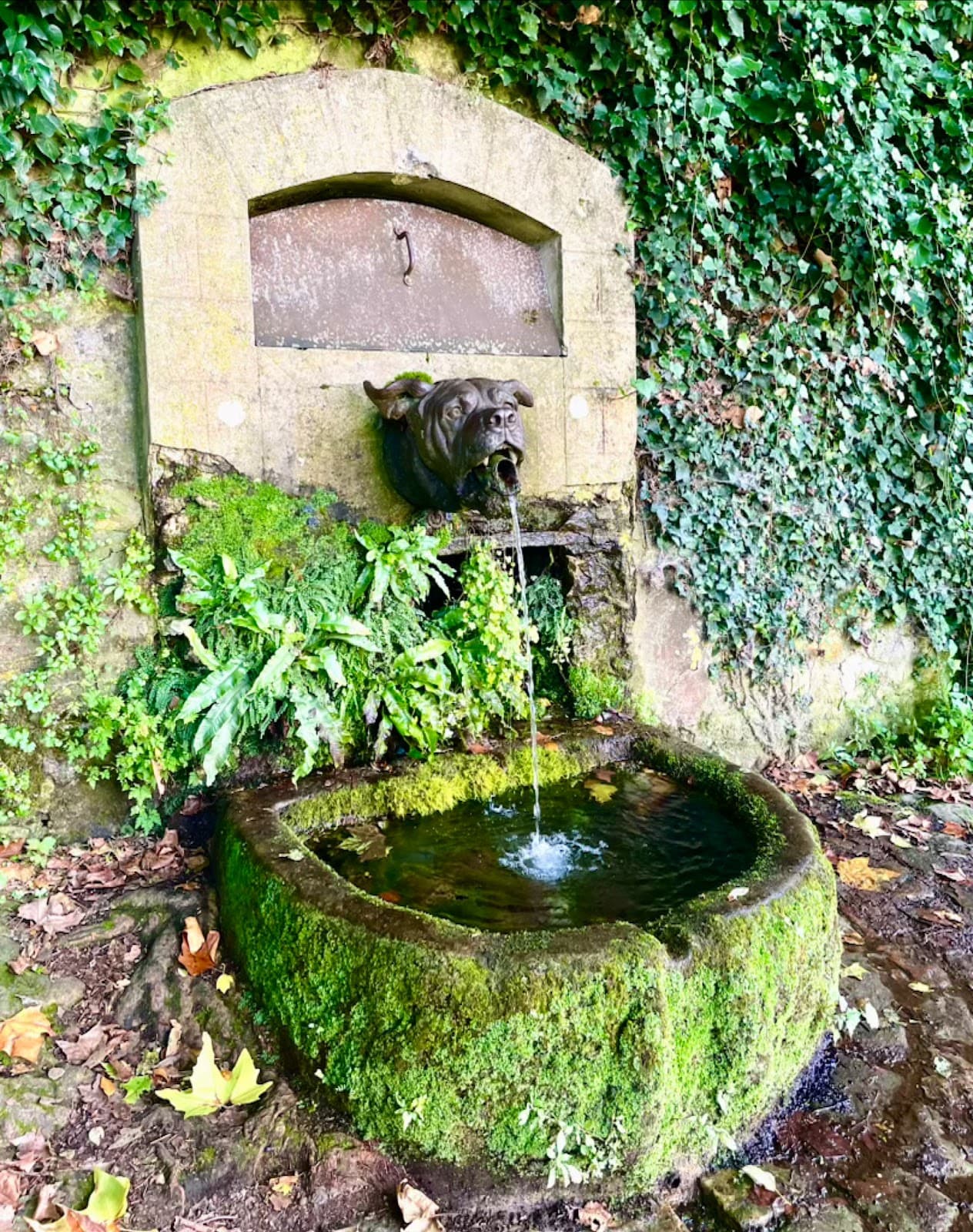 Devil Dog Fountain (Belleau) - Image 1