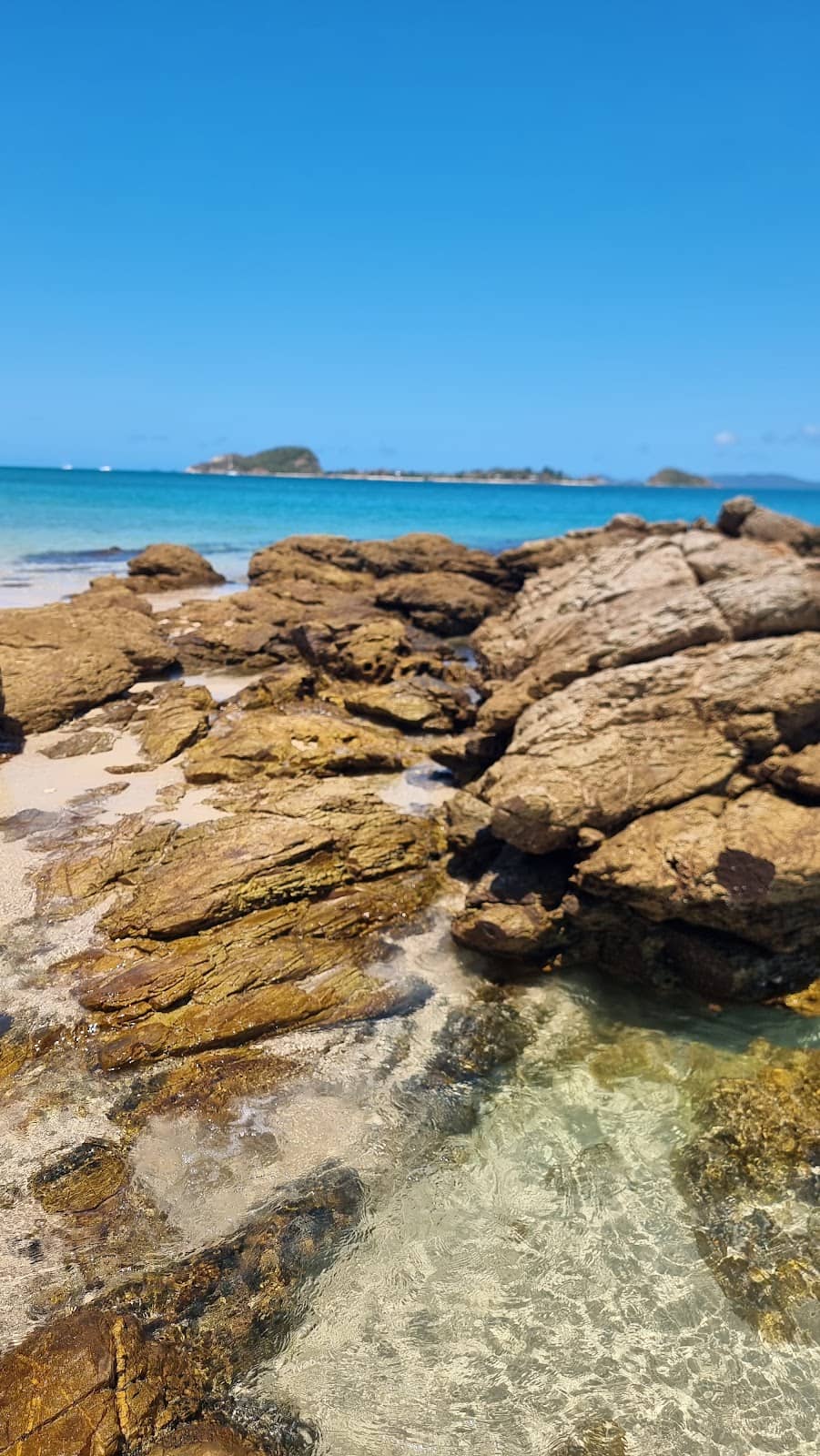 Scenic Hiking Trails