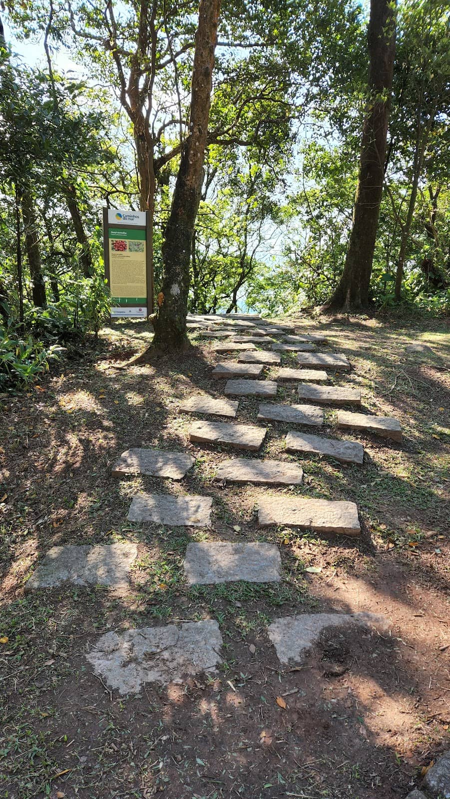 Encountering Local Wildlife