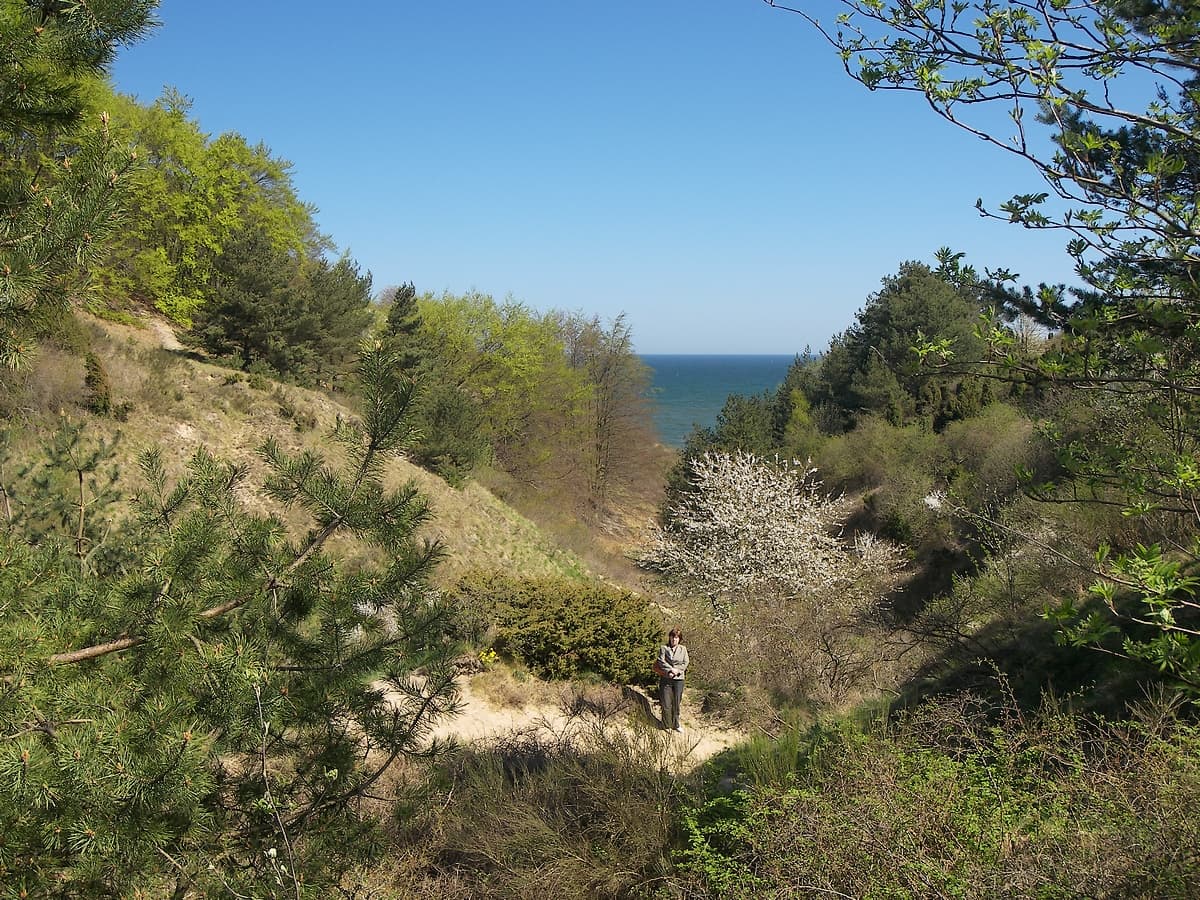 Chłapowska Valley Nature Reserve - Image 1