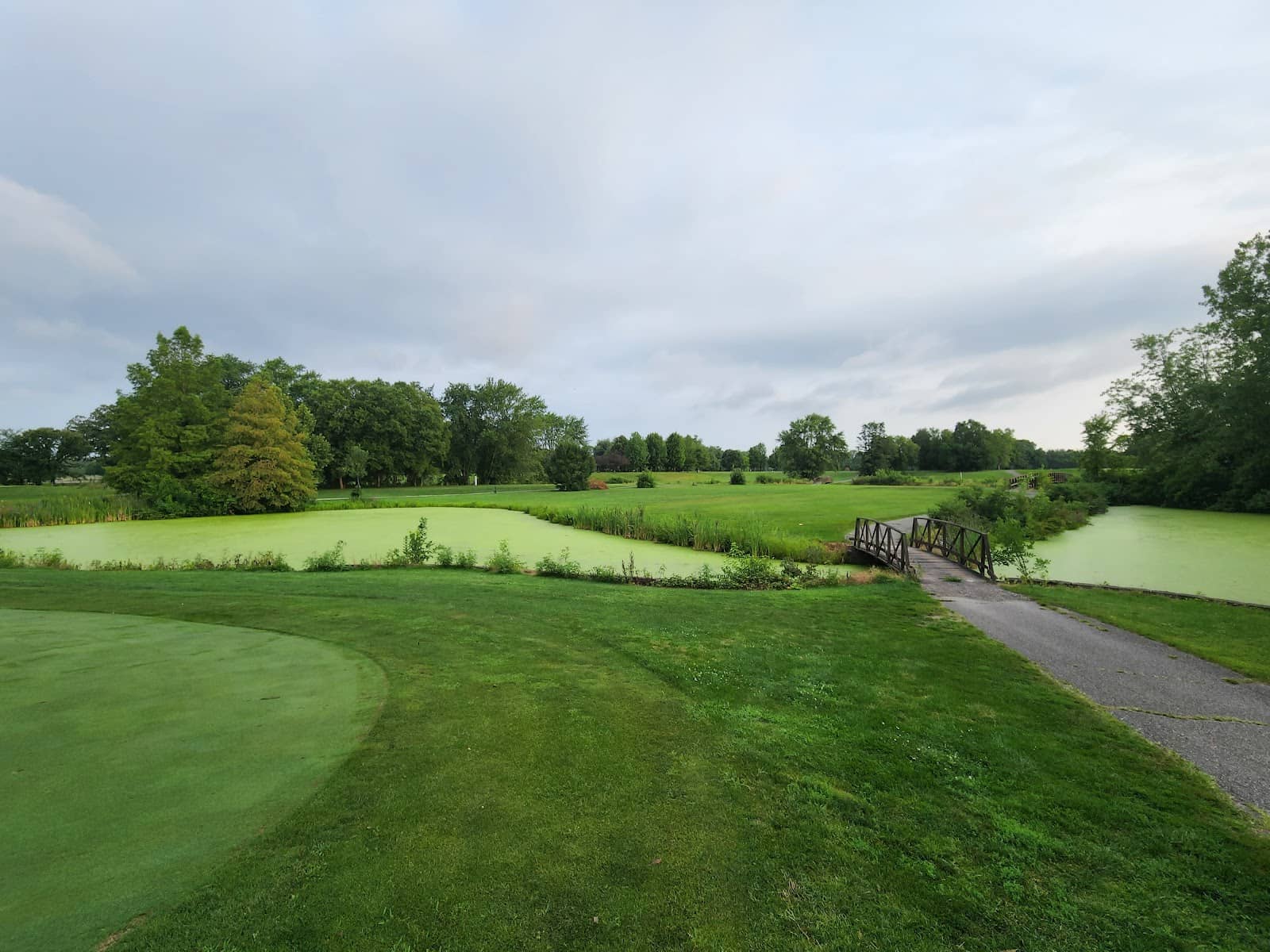 Unique Train Track Feature