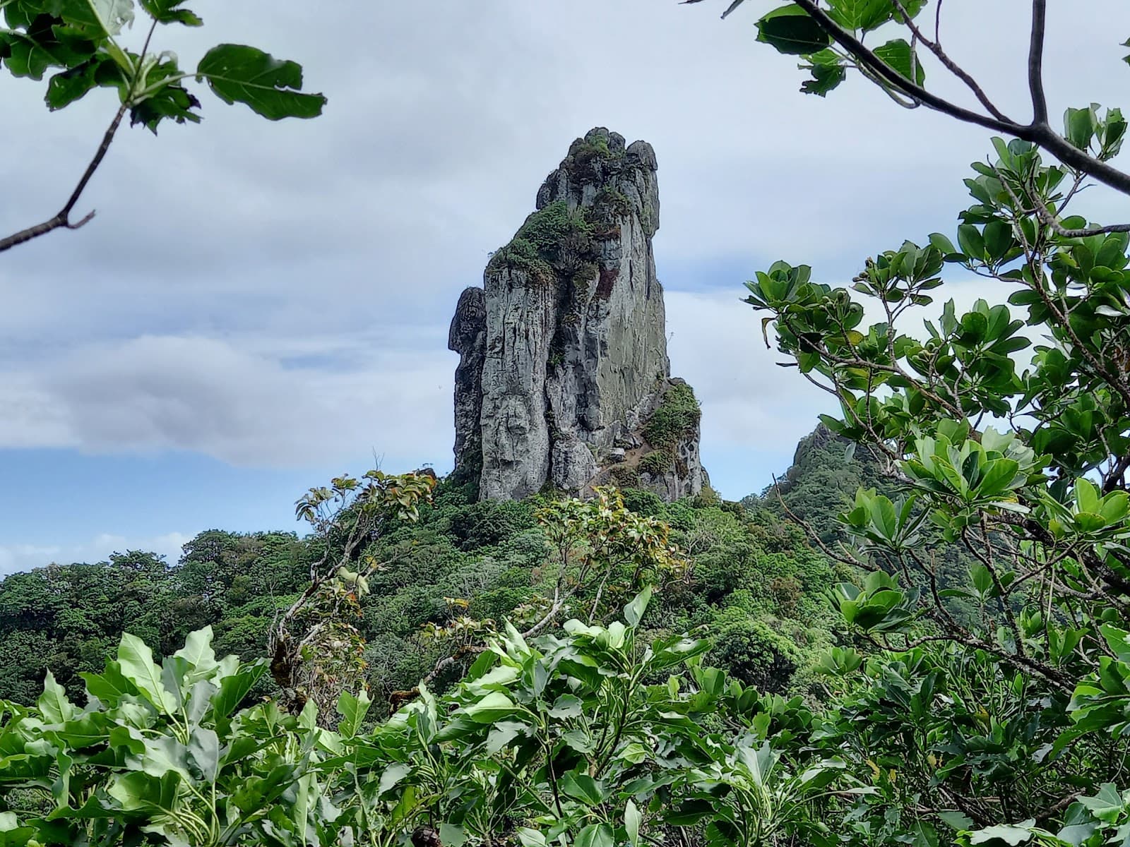 Te Rua Manga (The Needle) - Image 1