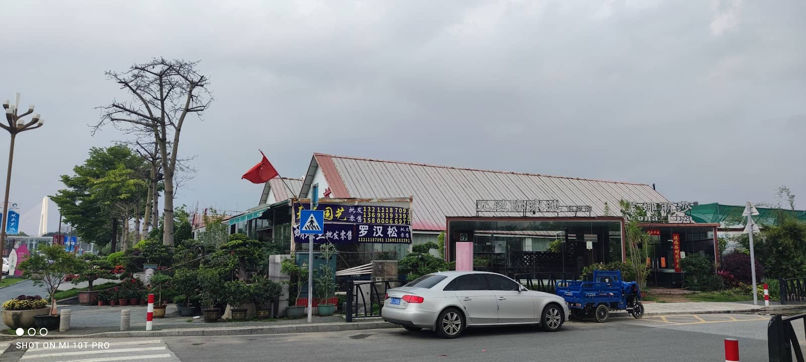 Wholesale and Retail Options