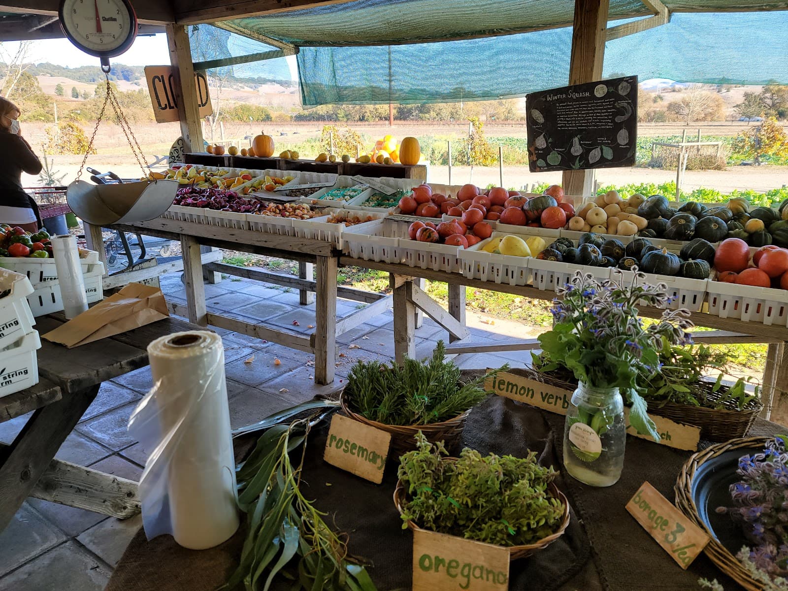 Green String Farm - Image 1