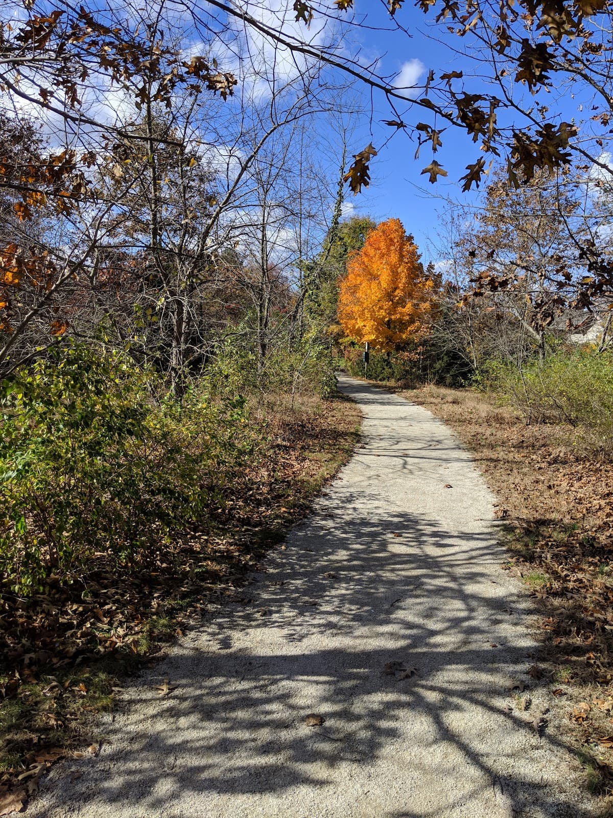Boundary Creek Natural Resource Area - Image 1