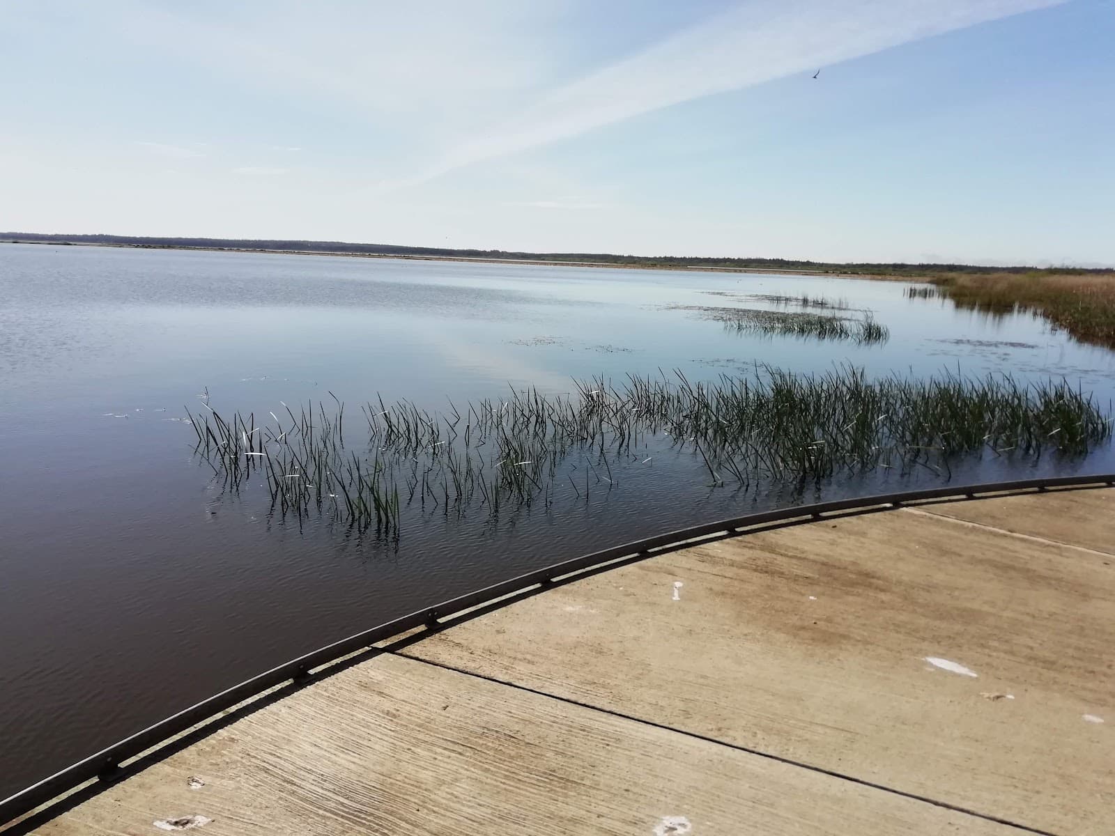 Filsø Bird Tower (Løvklitten) - Image 1