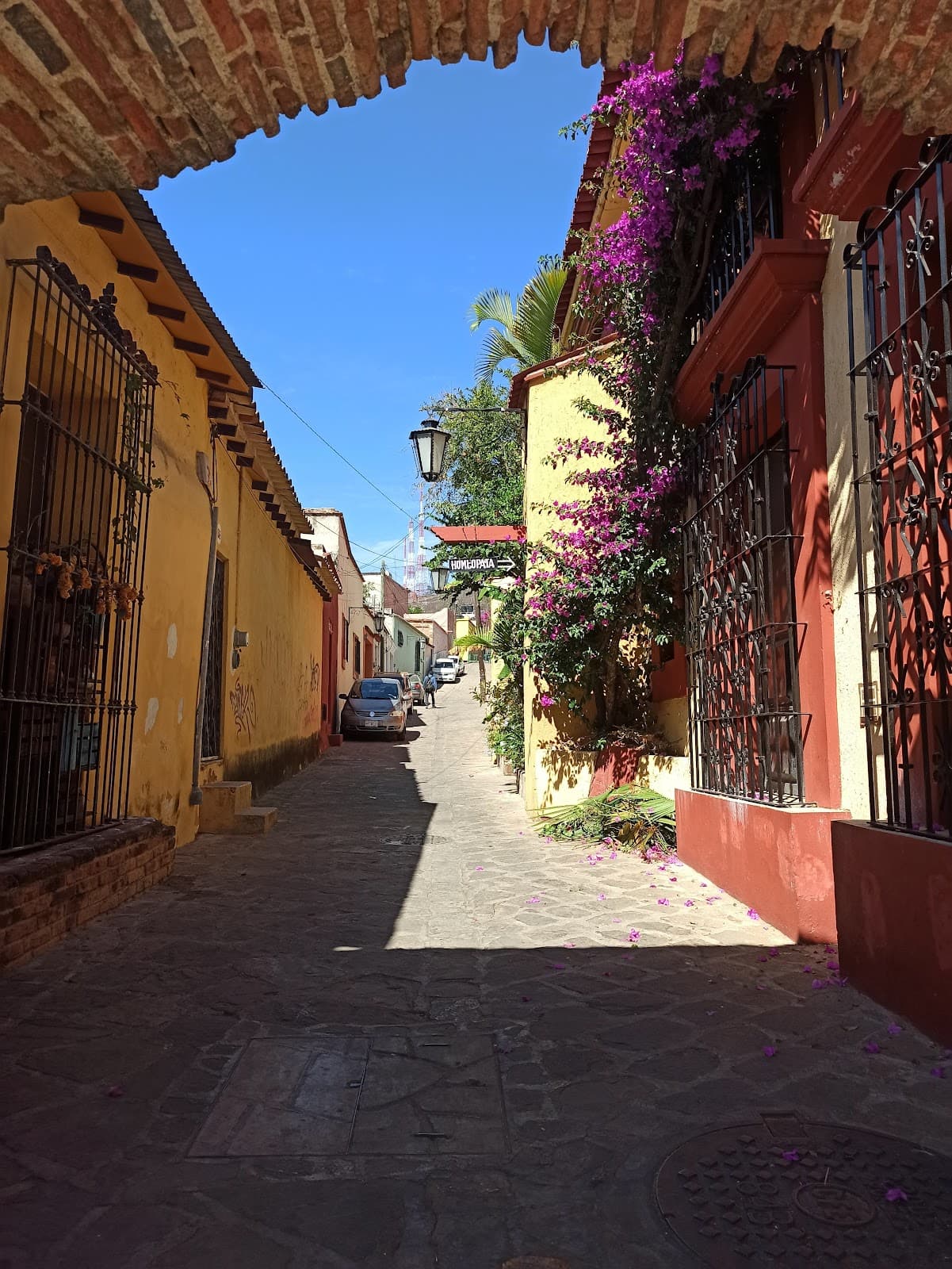 Xochimilco - Image 1