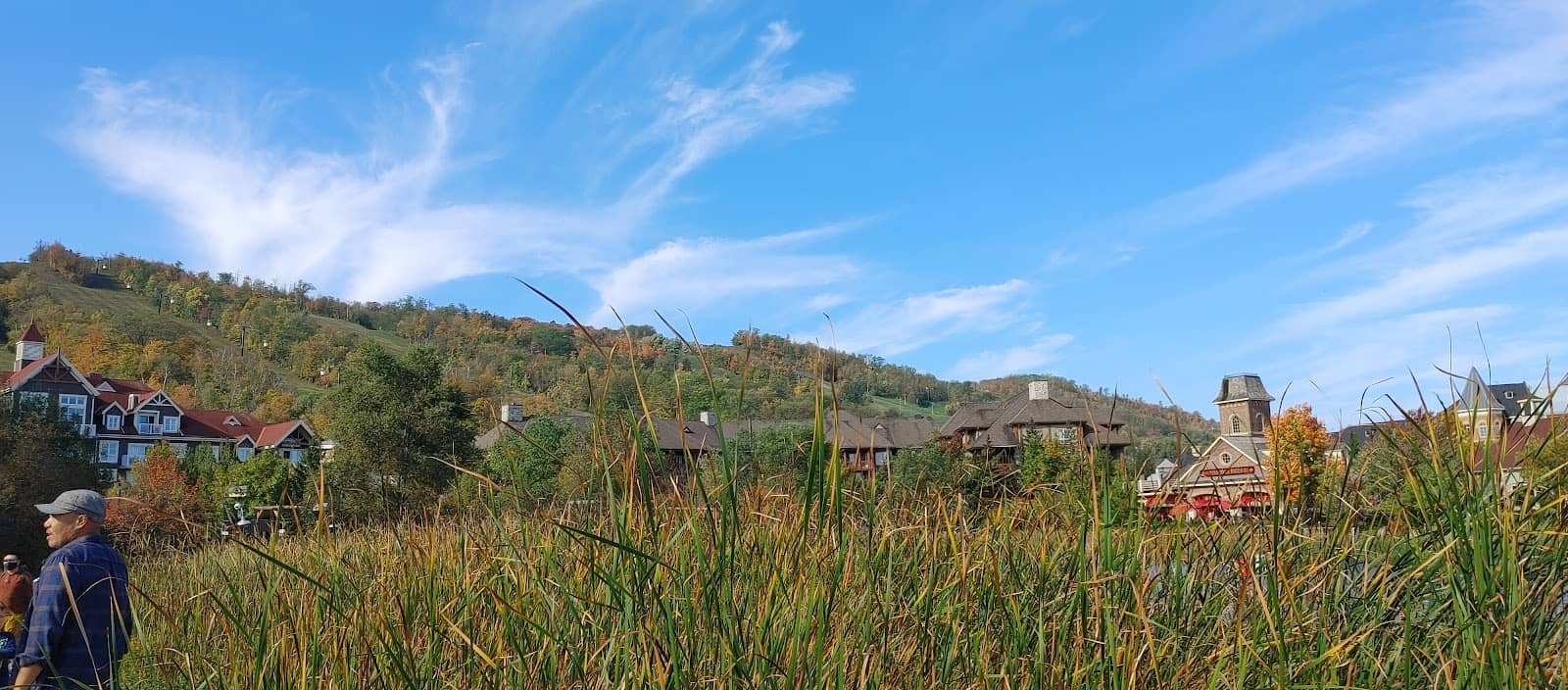 The Famous Grilled Cheese