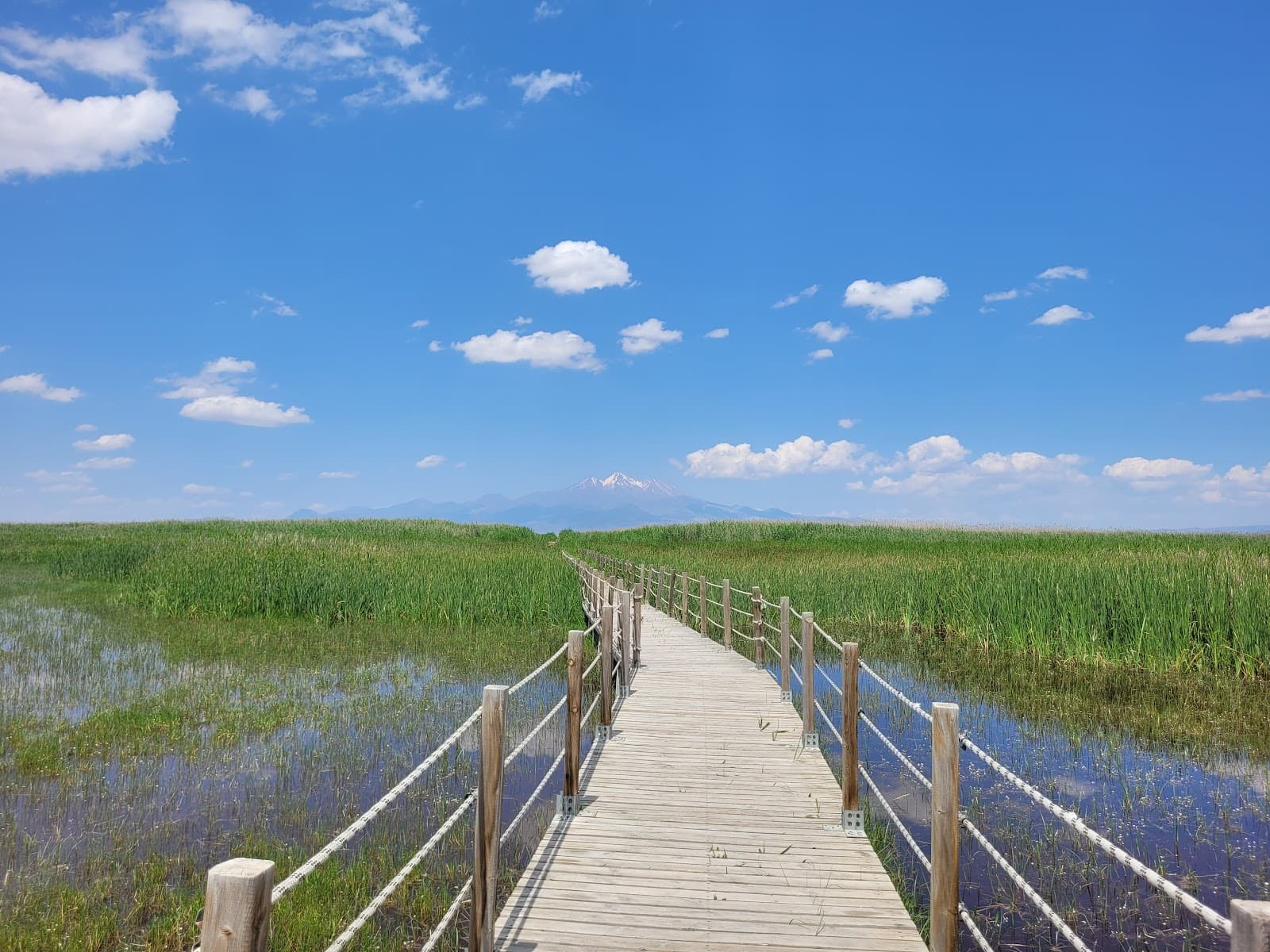Sultan Sazlığı National Park - Image 1