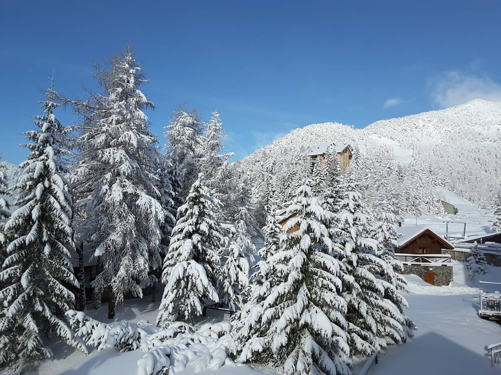 Local Italian Cuisine