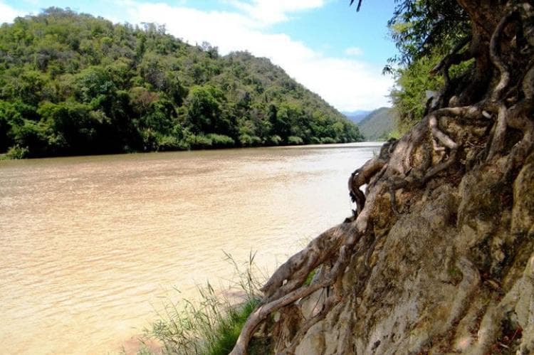 Cerros de Amotape National Park (Piura sector) - Image 1