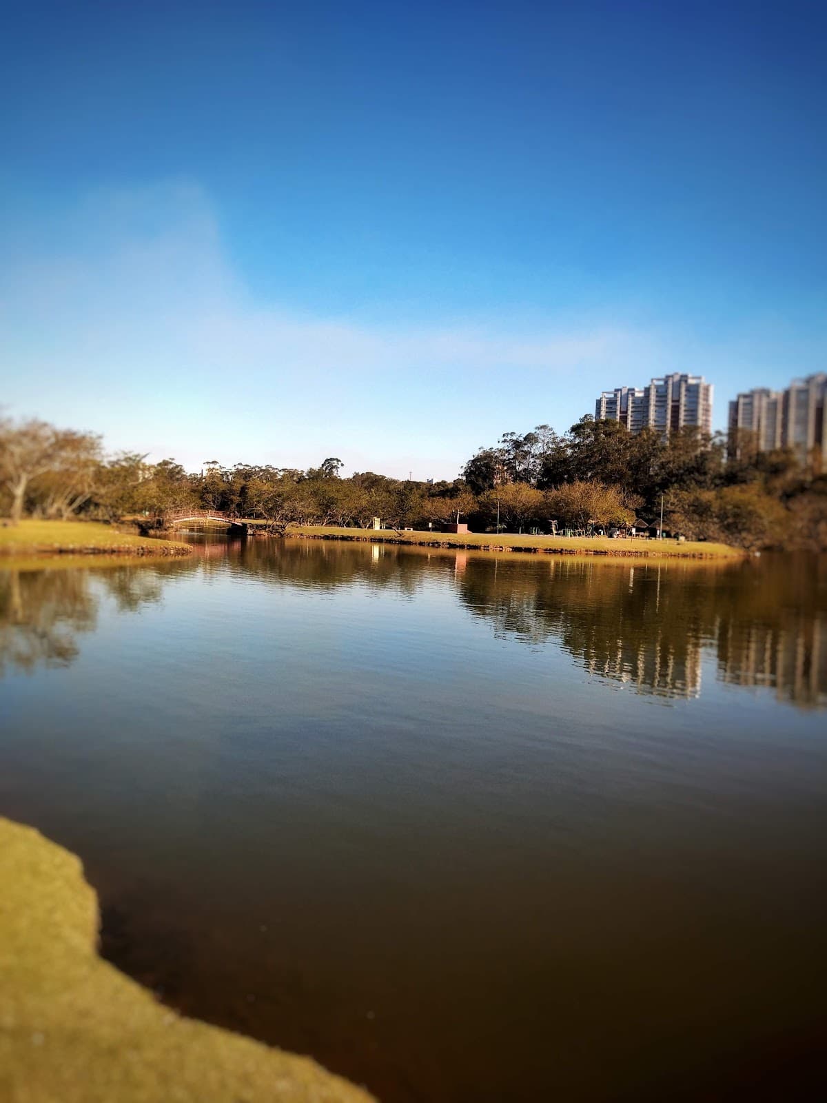 Parque Centenário Mogi das Cruzes São Paulo - Image 1