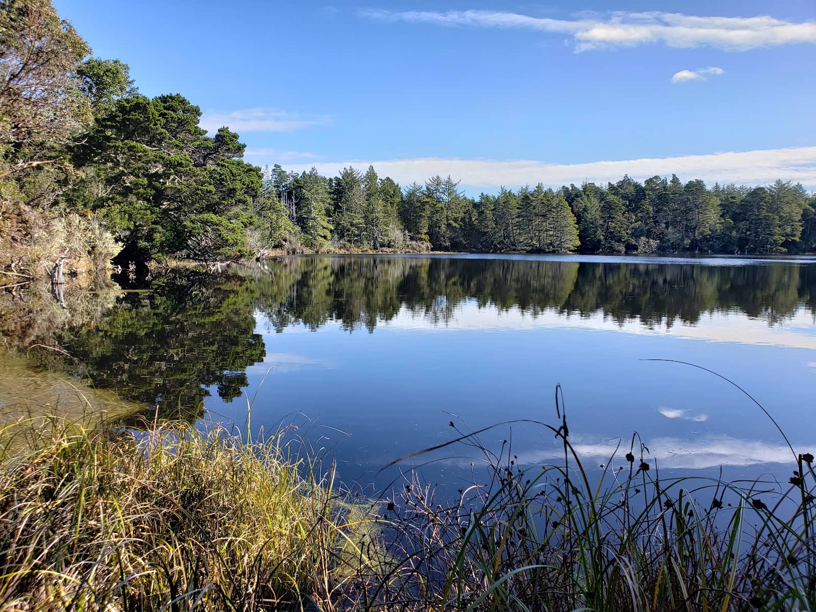 Nature Center Exhibits