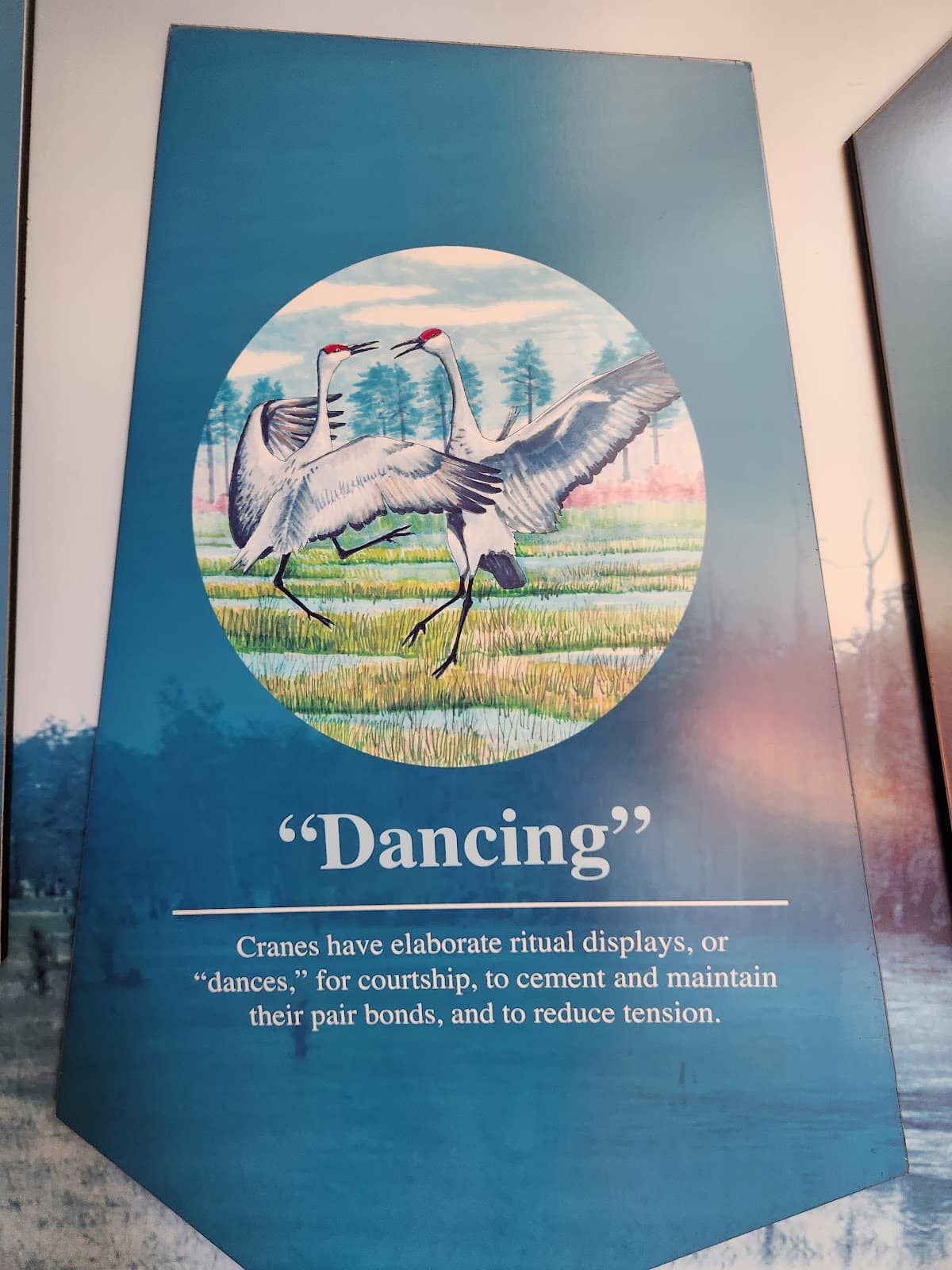 Mississippi Sandhill Crane National Wildlife Refuge - Image 1