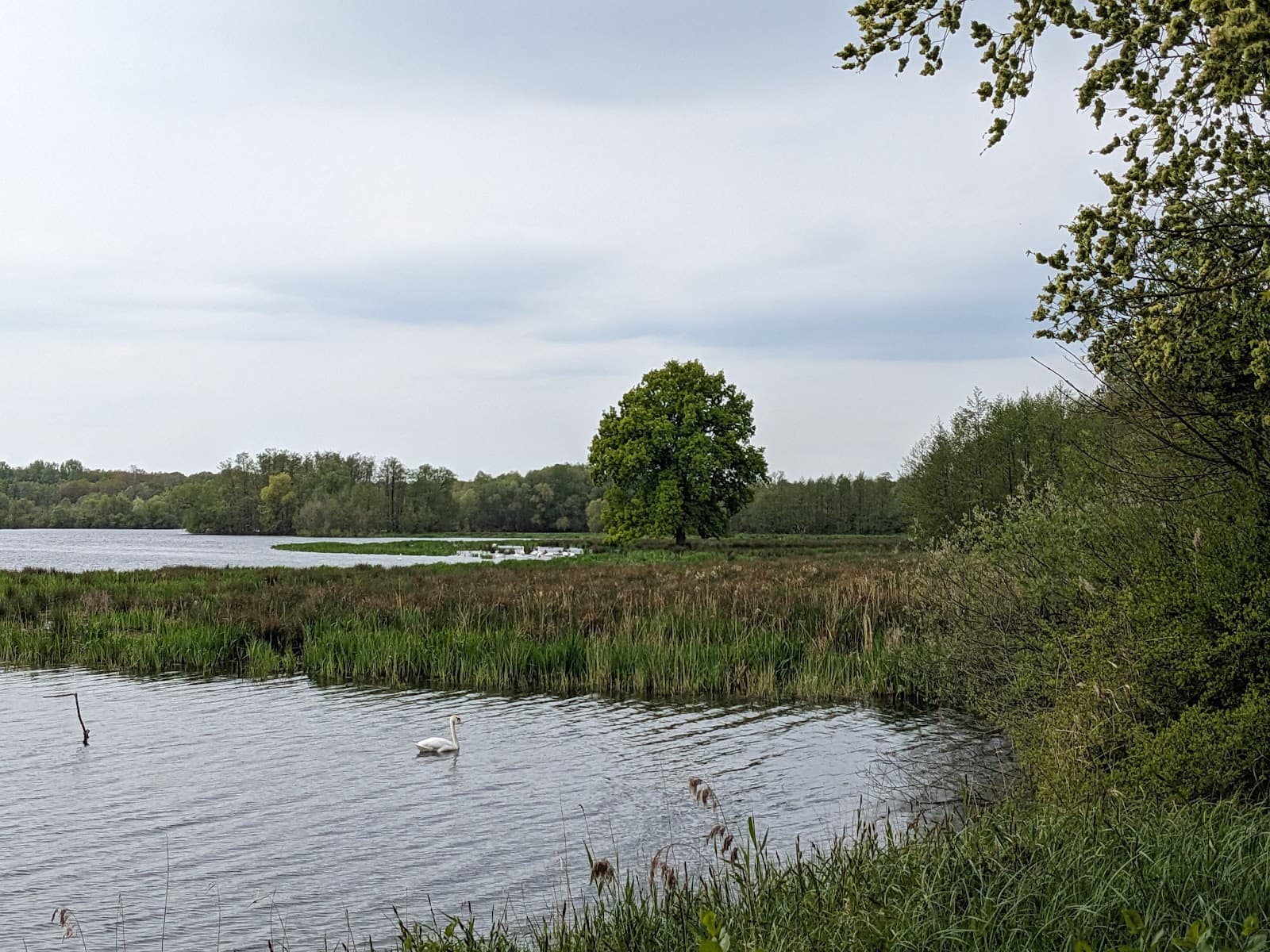 Ilkerbruch Nature Reserve - Image 1
