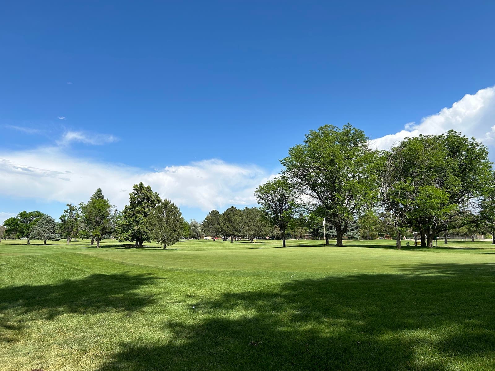 Elmwood Golf Course - Image 1
