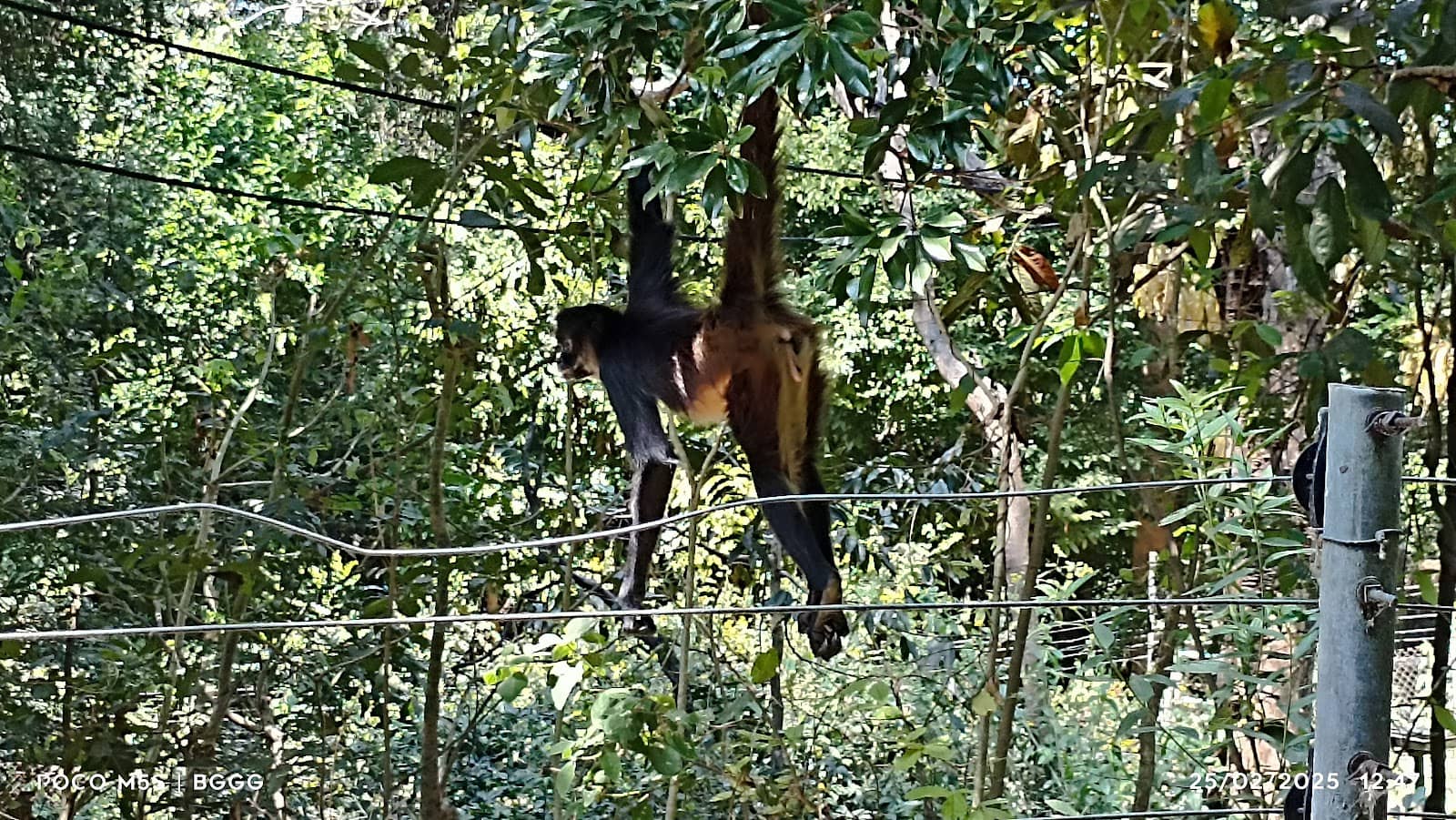 Natural Pools & Green Areas