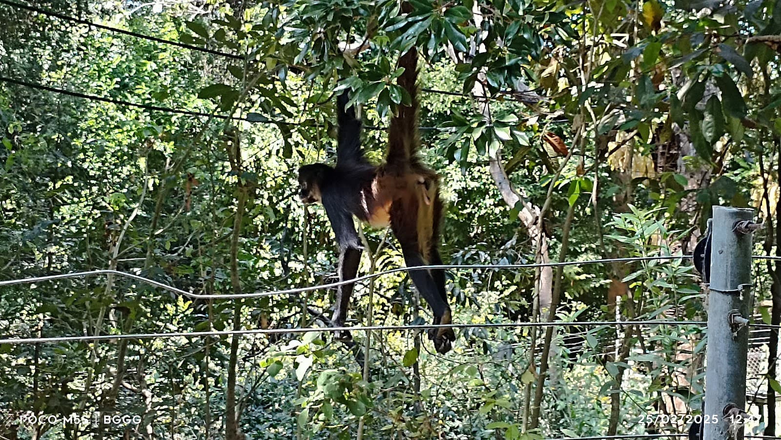 Reserva Ecológica El Zapotal - Image 1