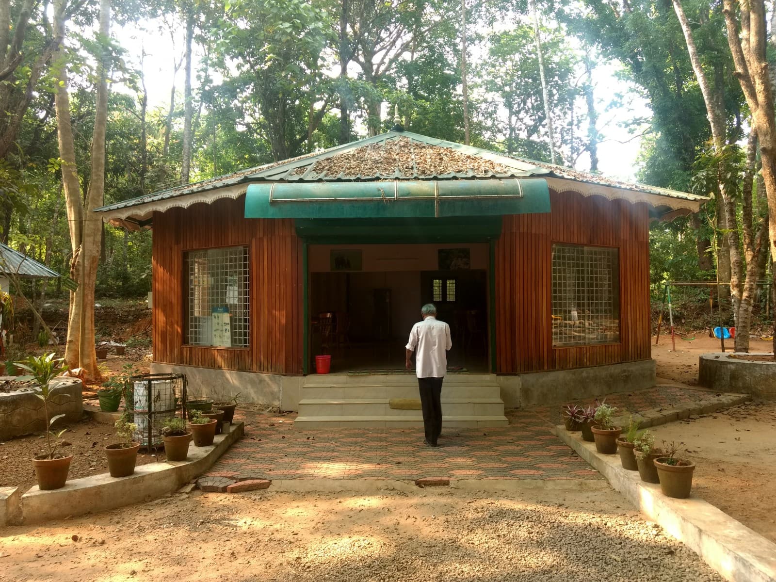 Kodanad Elephant Reserve Abhayaranyam - Image 1