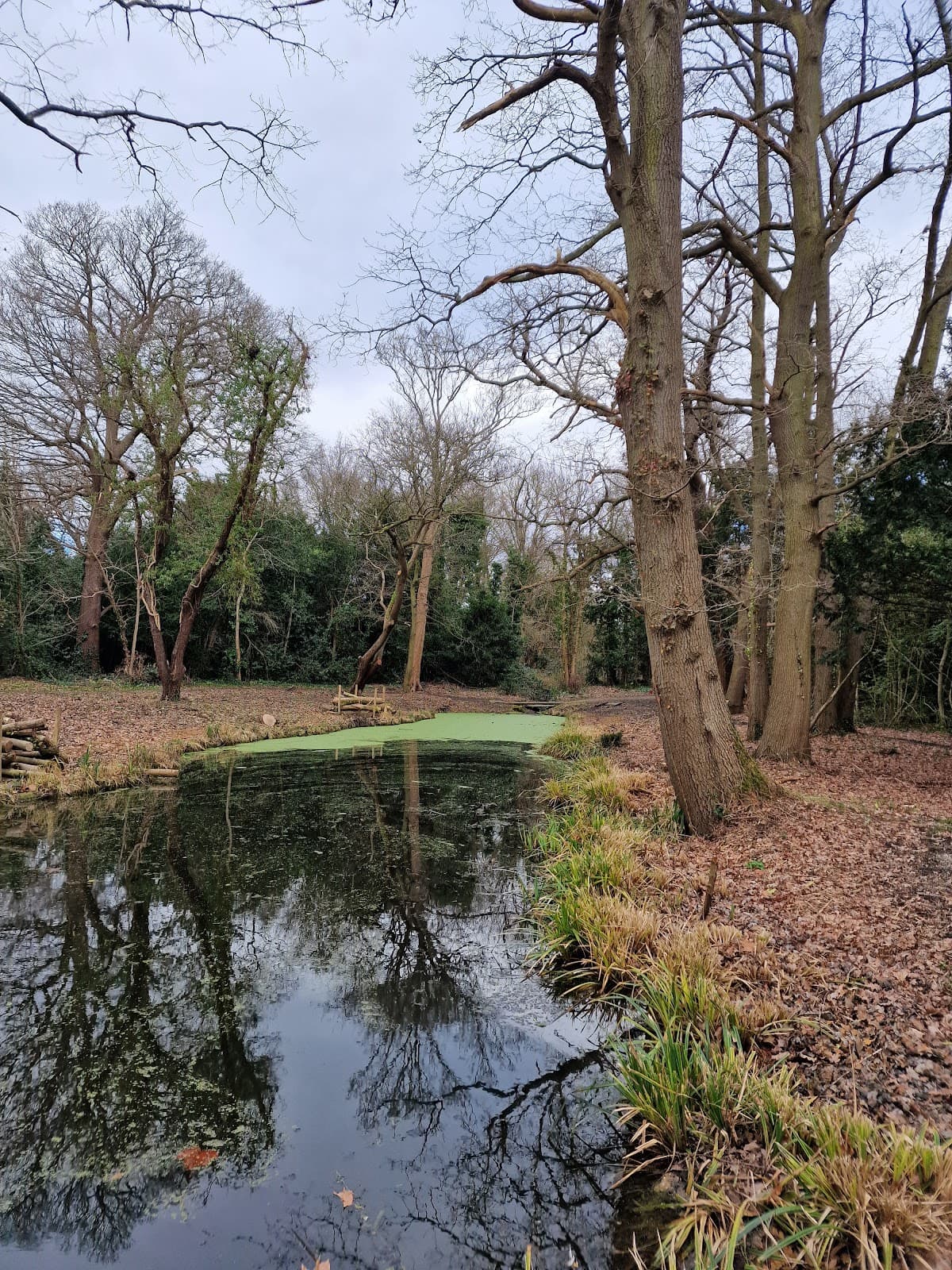 Uxbridge Moor Nature Reserve - Image 1