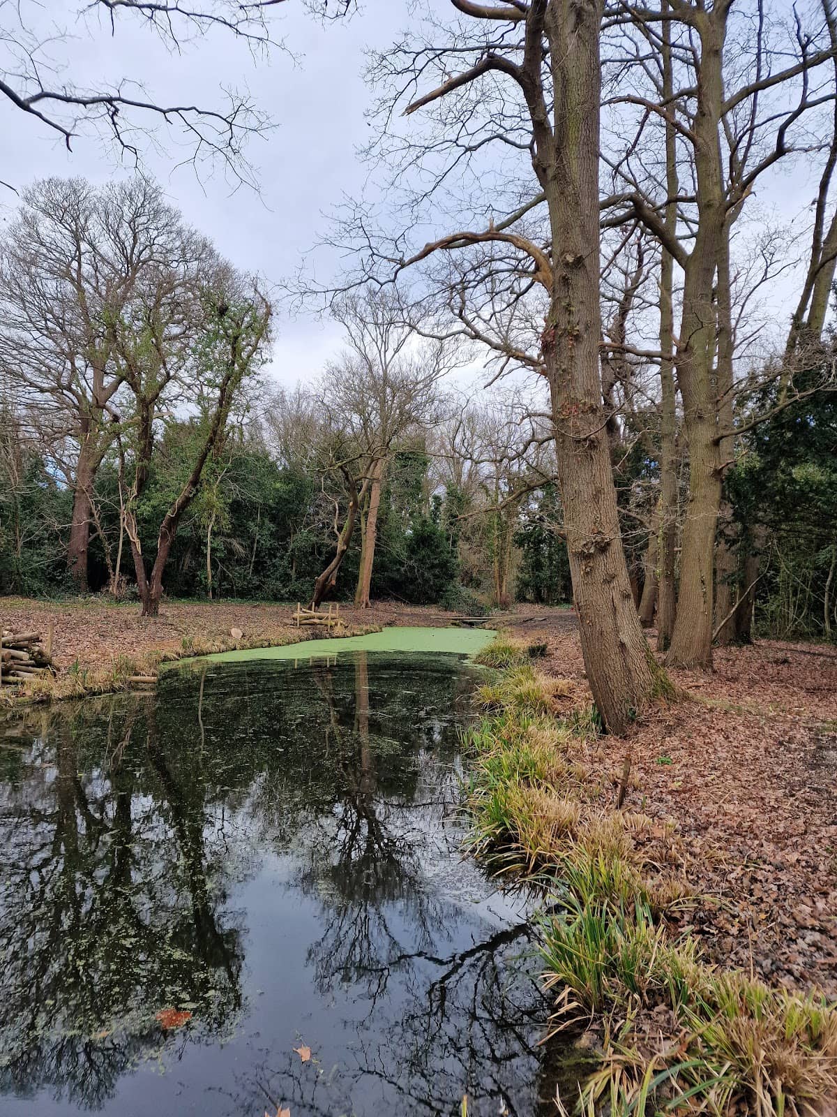 Artistic Wooden Carvings