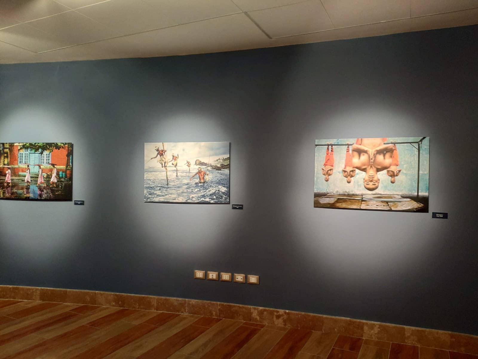 Highlights