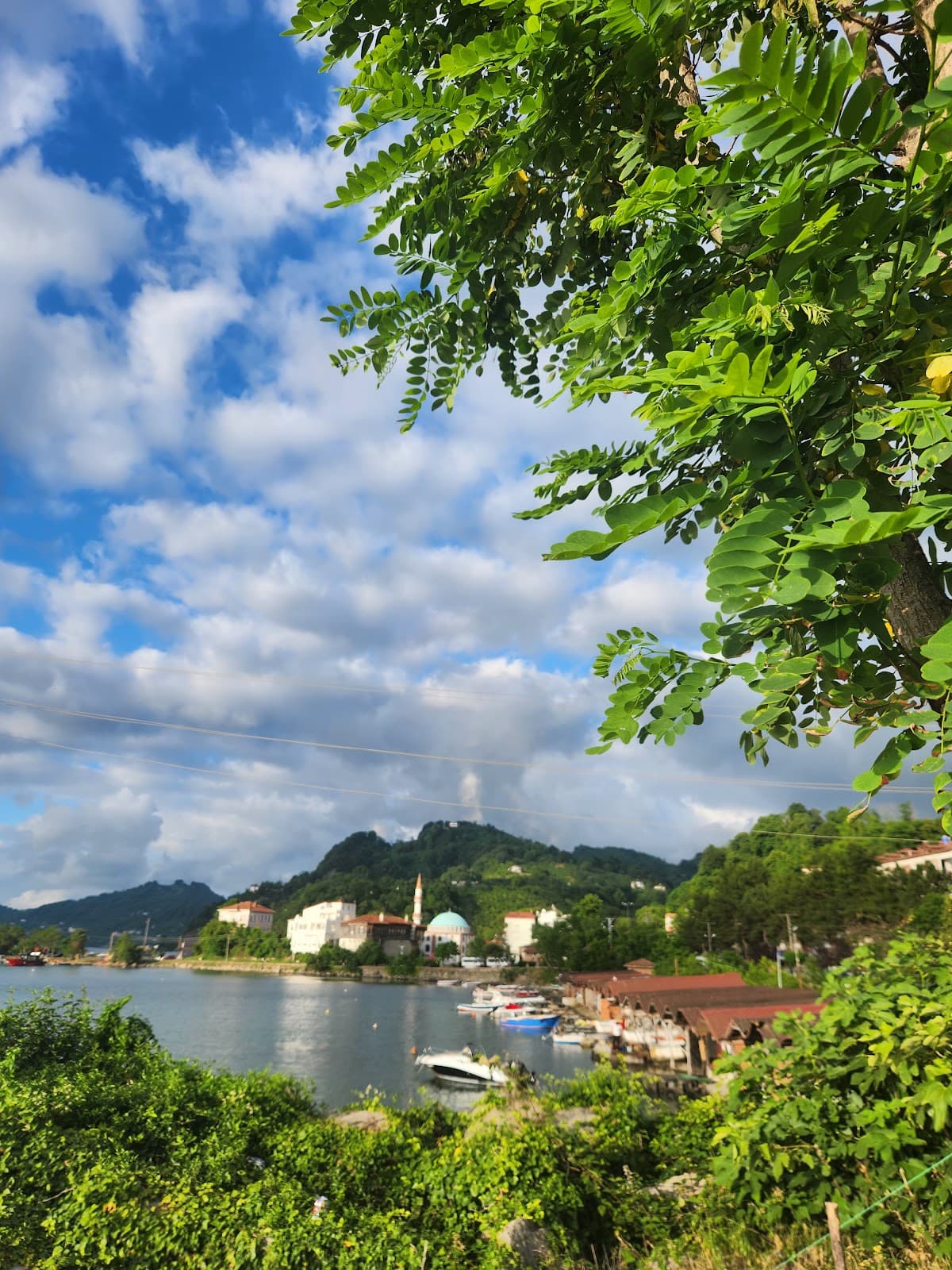 Bolaman Harbor & Pier - Image 1