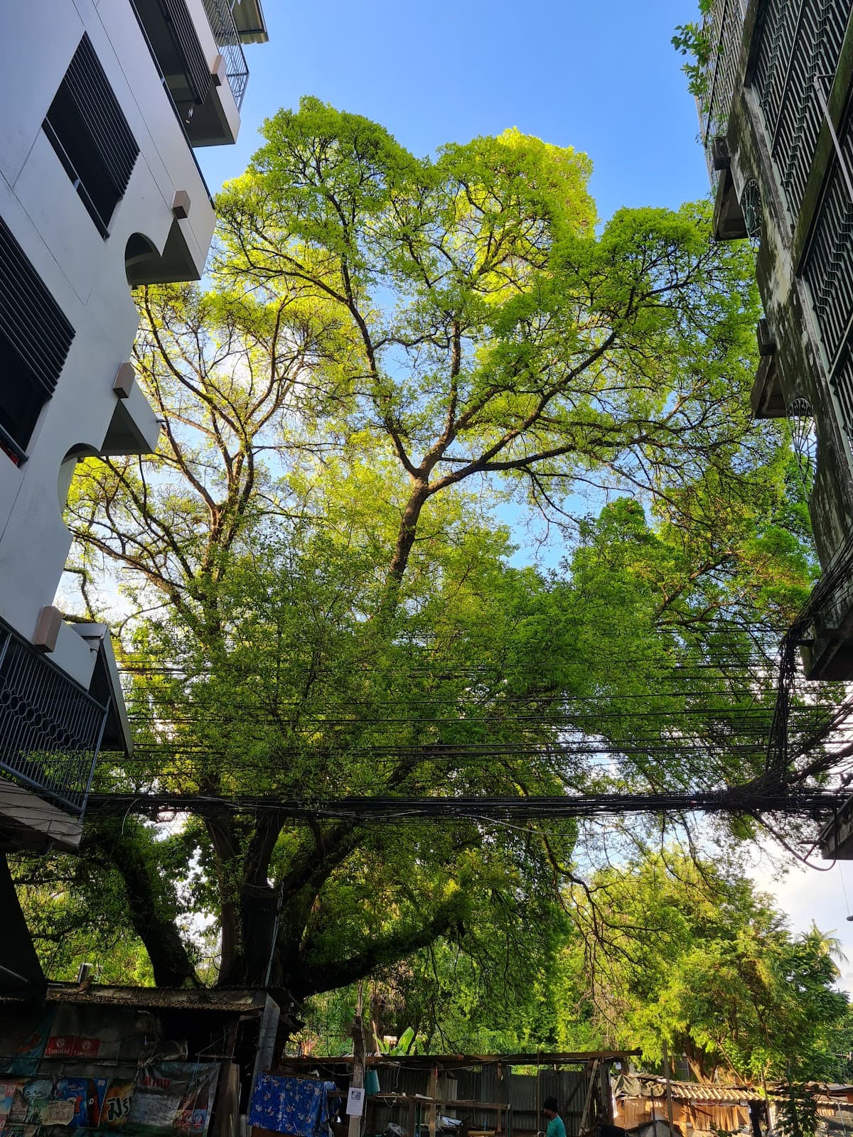 Ratchathewi, Bangkok - Image 1