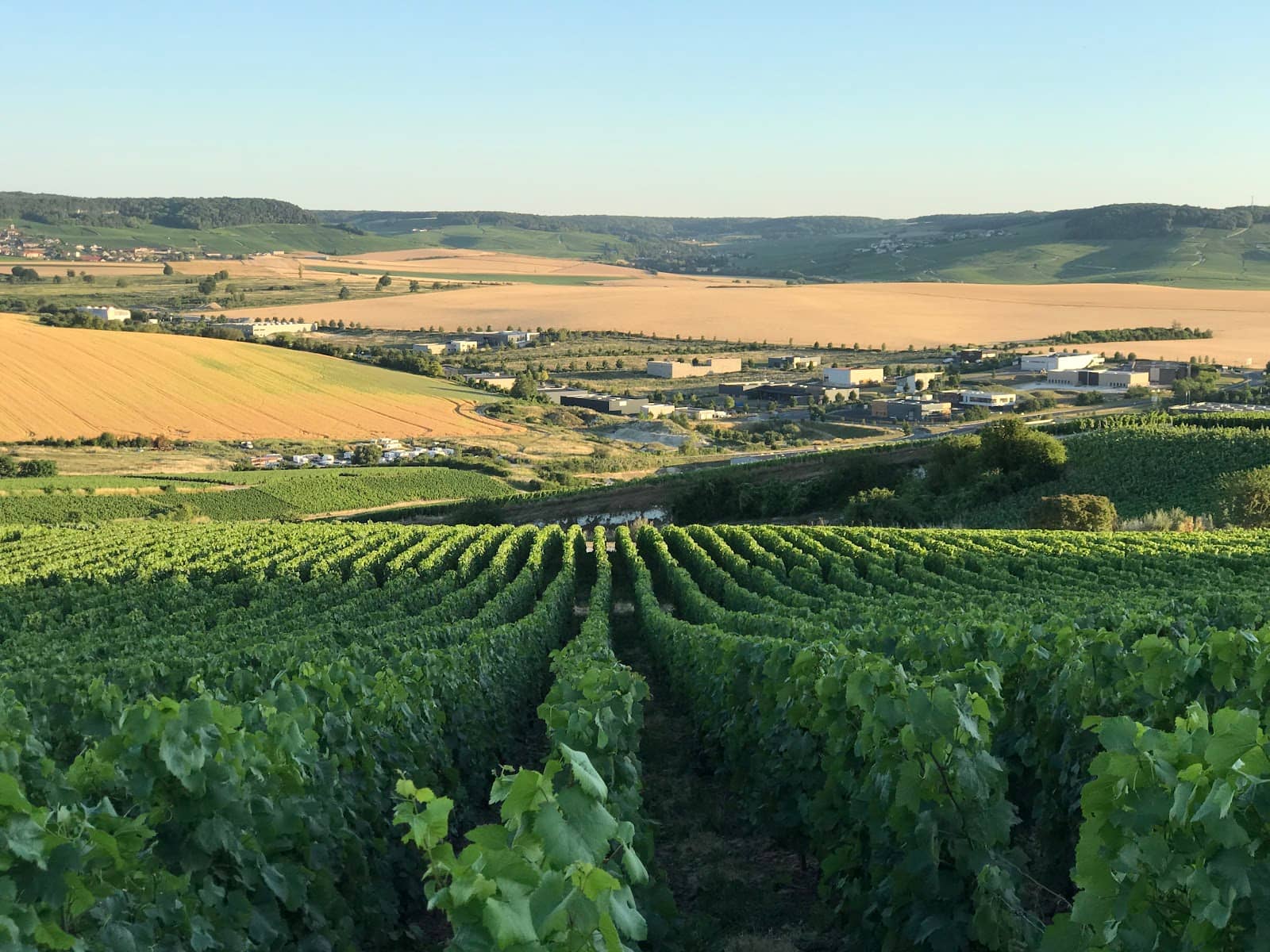 Picnic Spots with a View