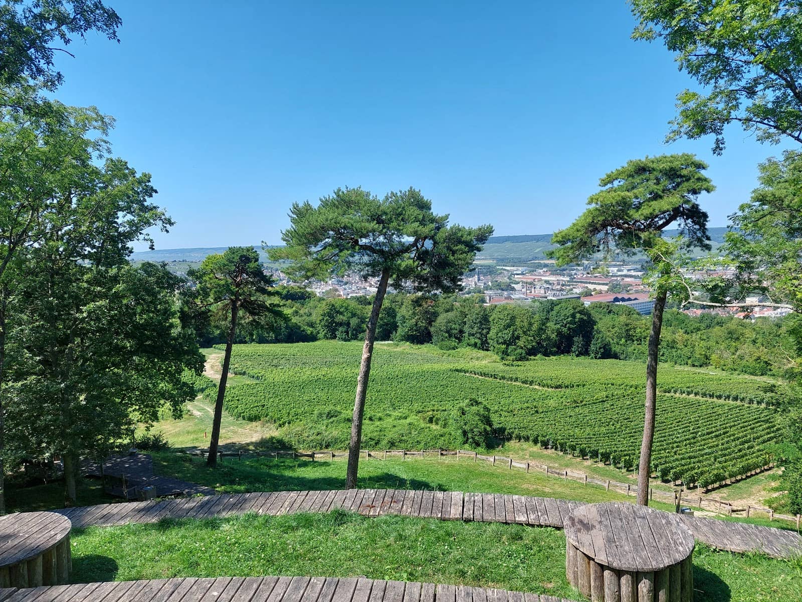 Vertical photo