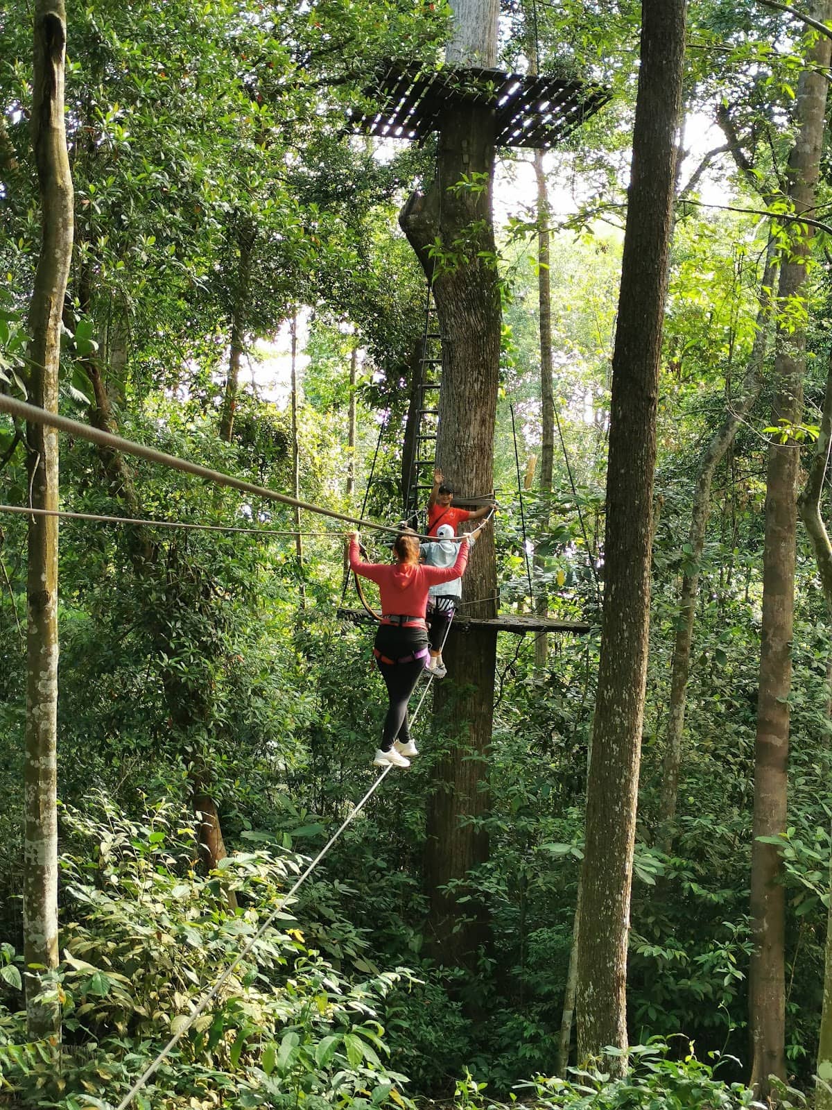 Vertical photo