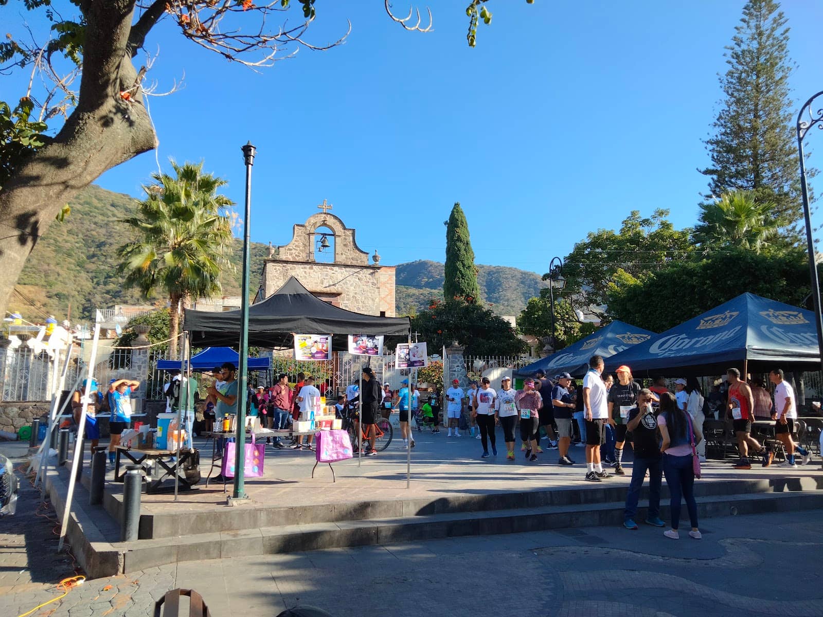 Art Galleries and Murals