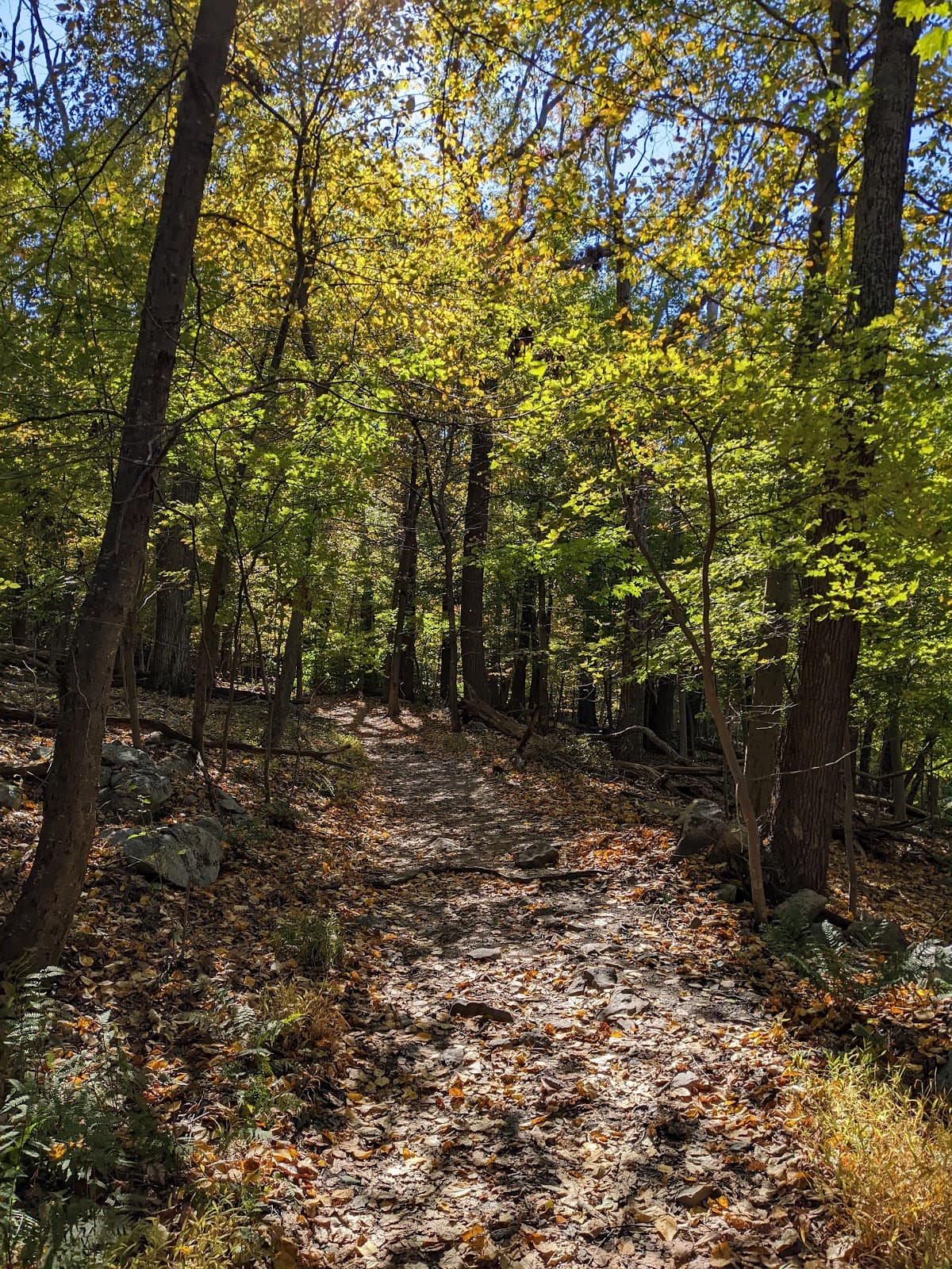 Appalachian Trail South Mountain - Image 1
