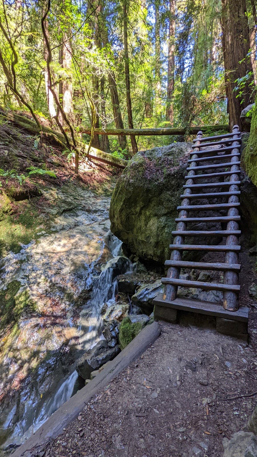Steep Ravine Trail Stinson Beach - Image 1