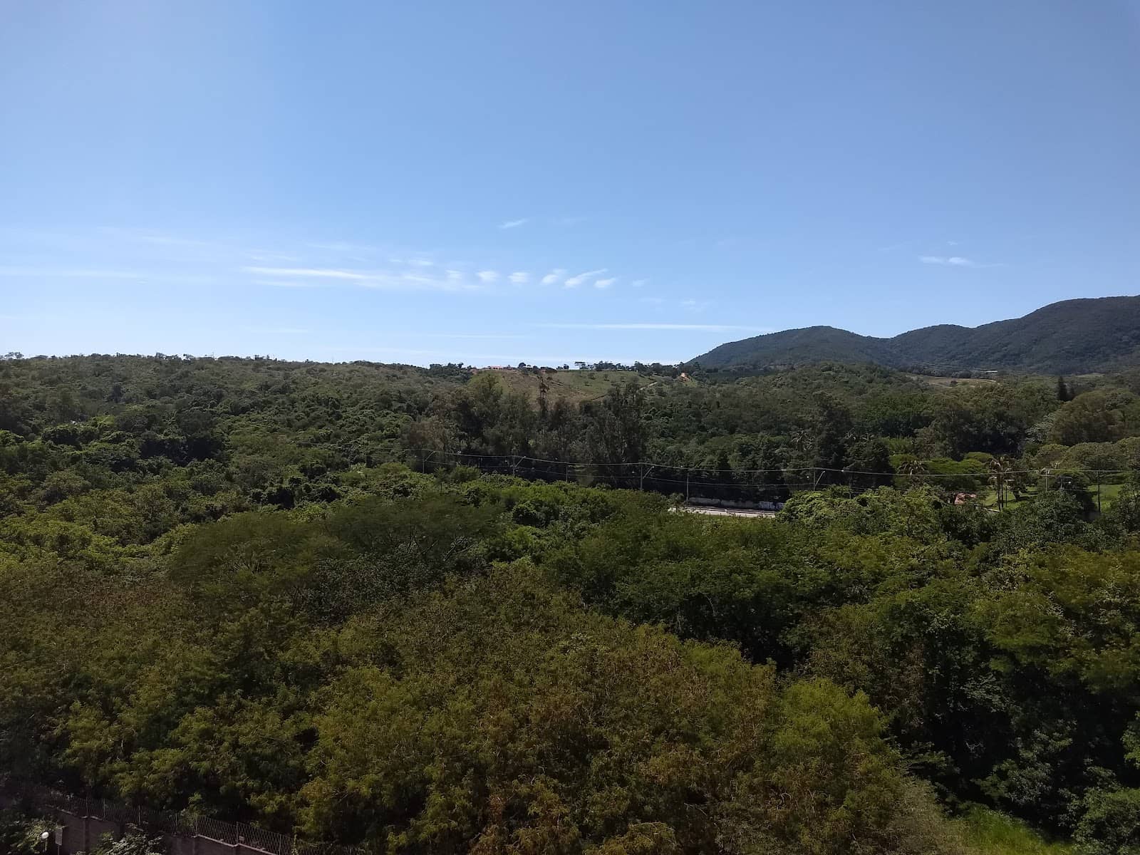 Scenic Hiking Trails