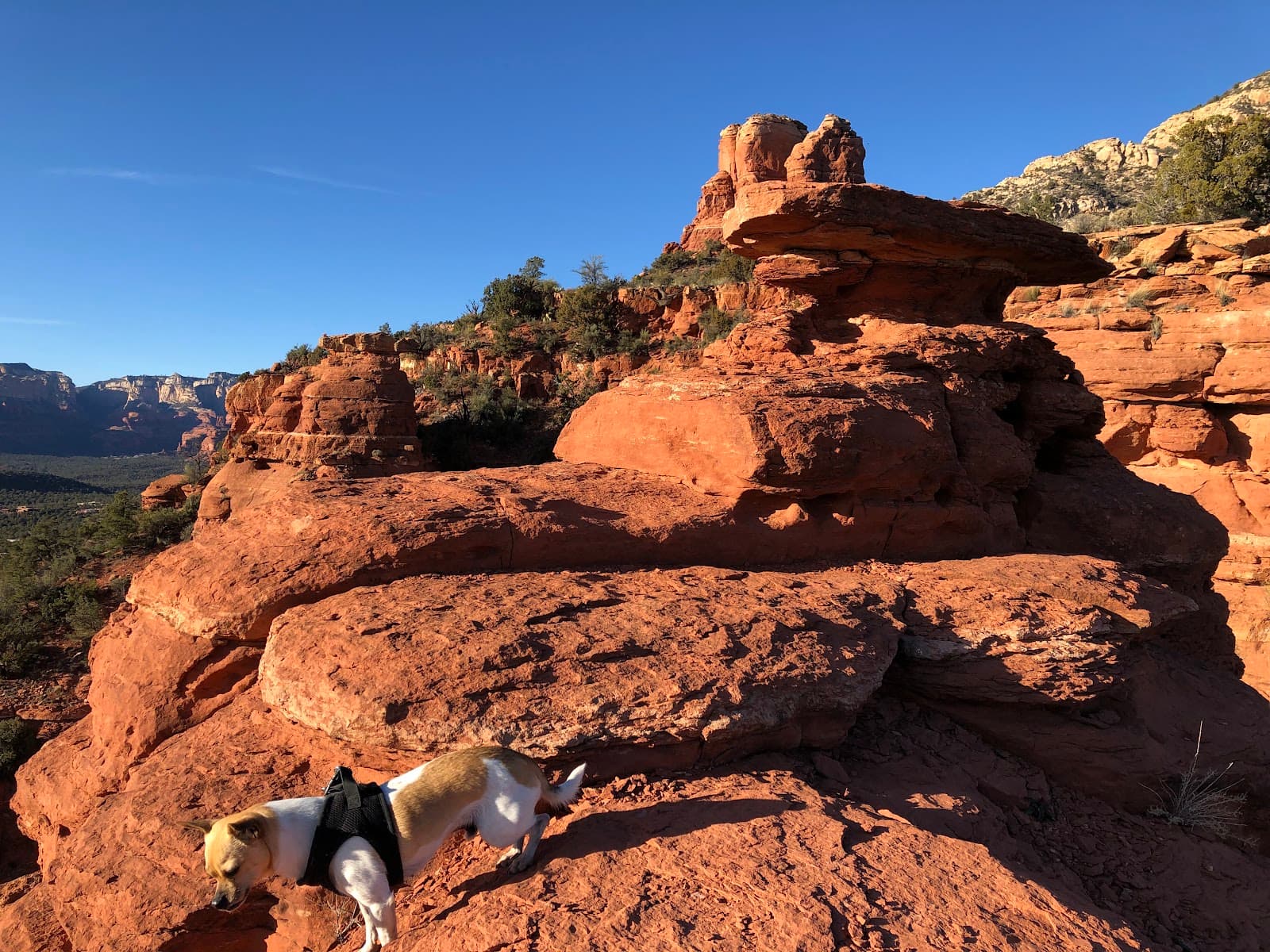 Chimney Rock - Image 1