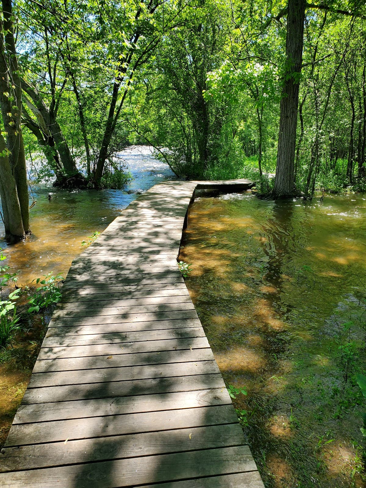 1000 Islands Environmental Center - Image 1