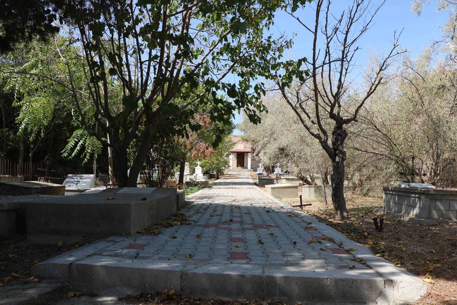 Local Cafes and Shops