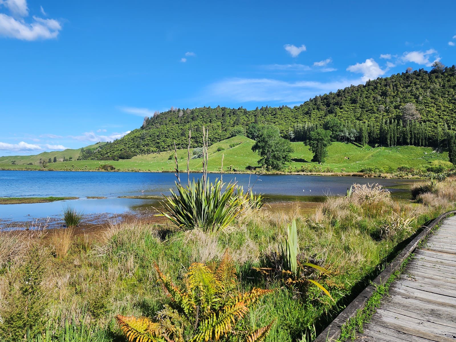 Lake Okareka Boardwalk - Image 1