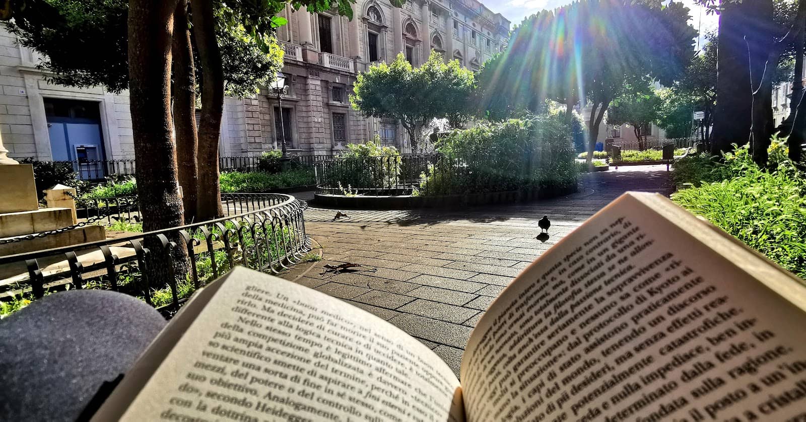 Artistic Exhibitions