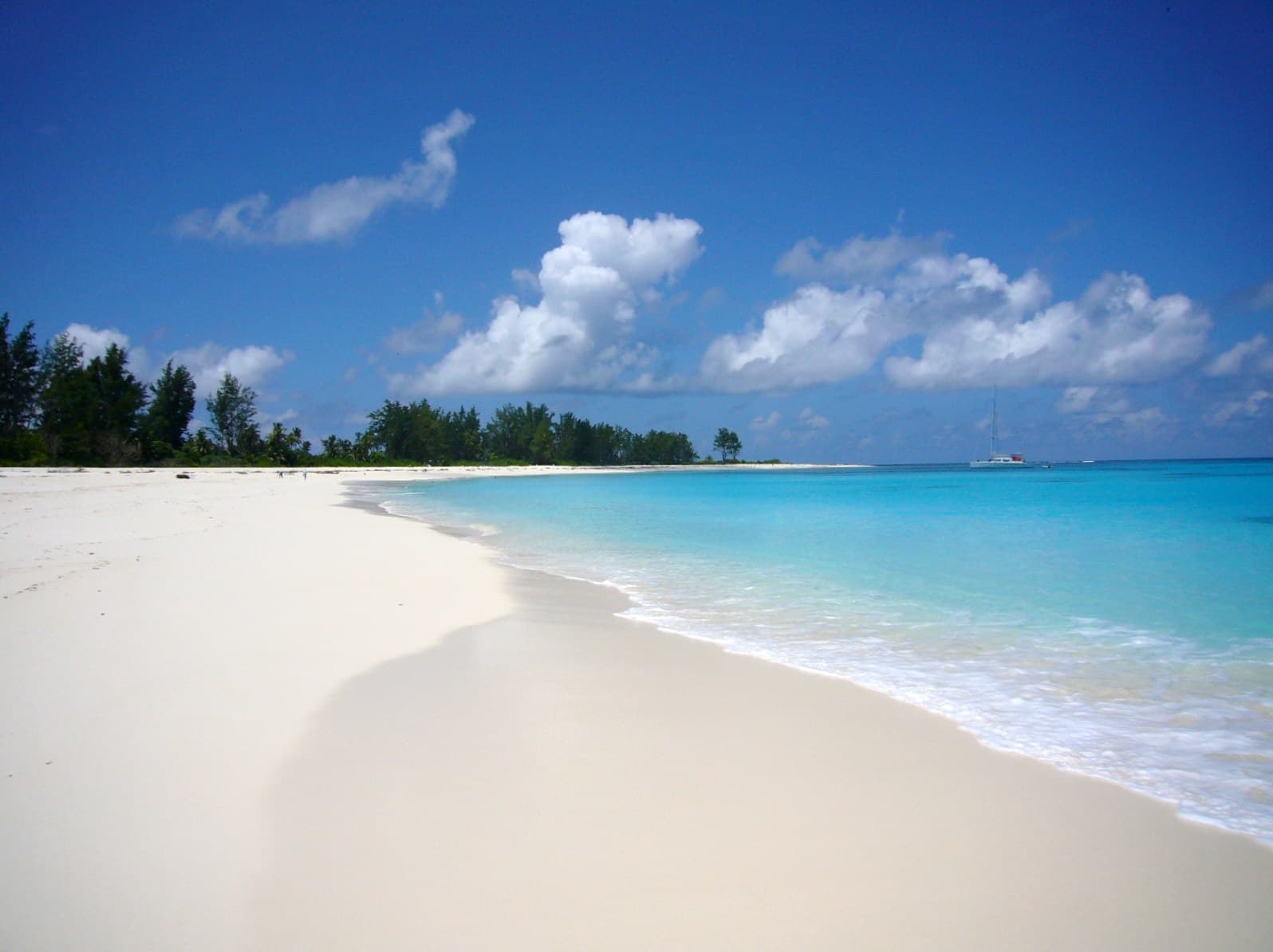 Bird Island - Image 1