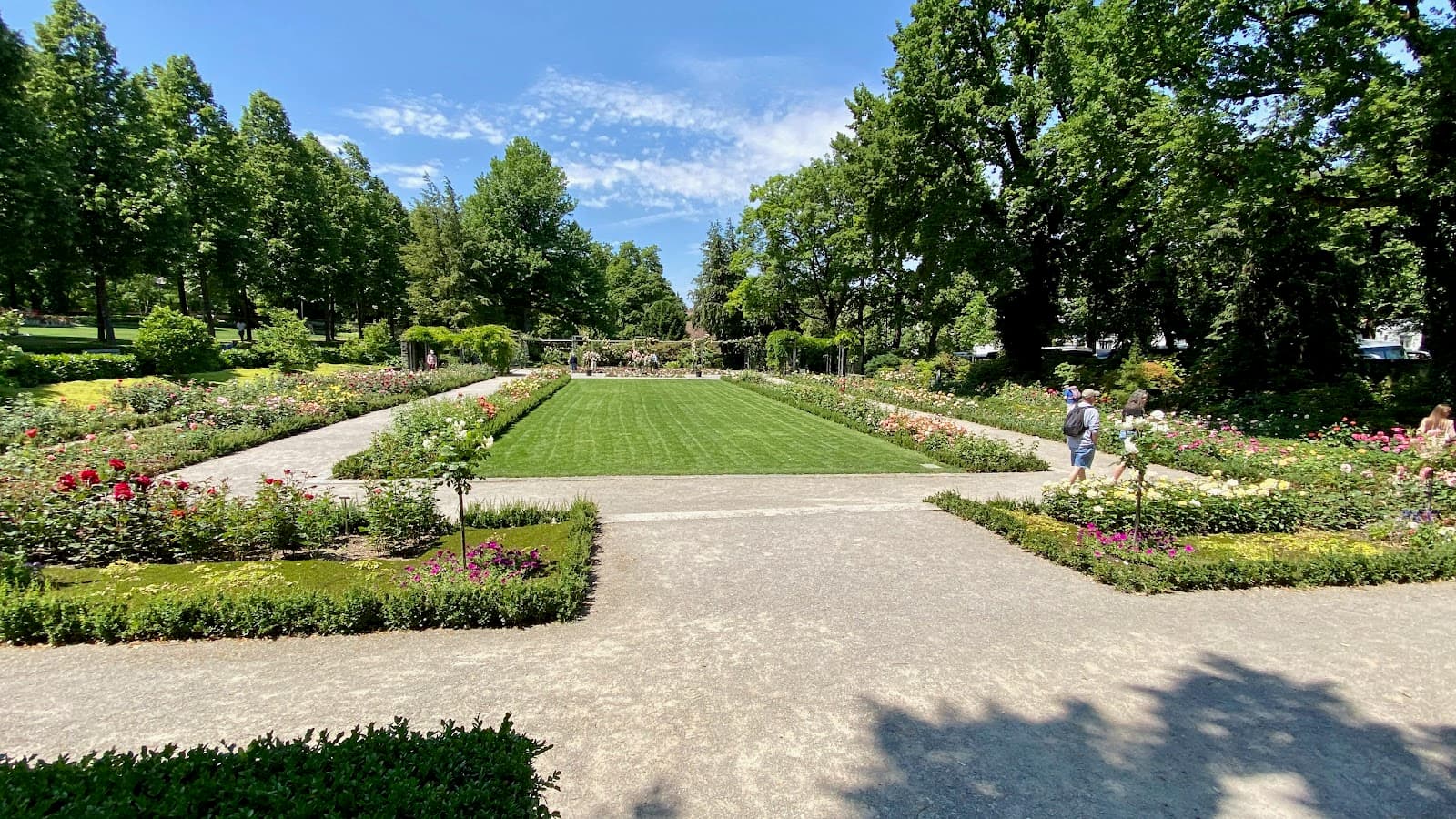 Rose Garden Rosengarten - Image 1