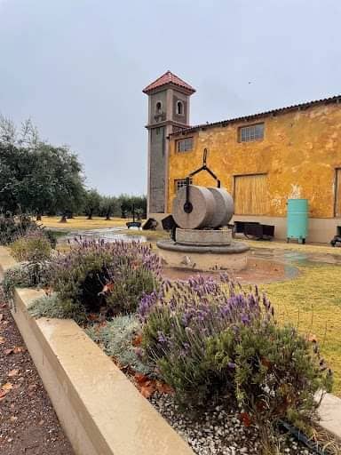 Bodega Vila