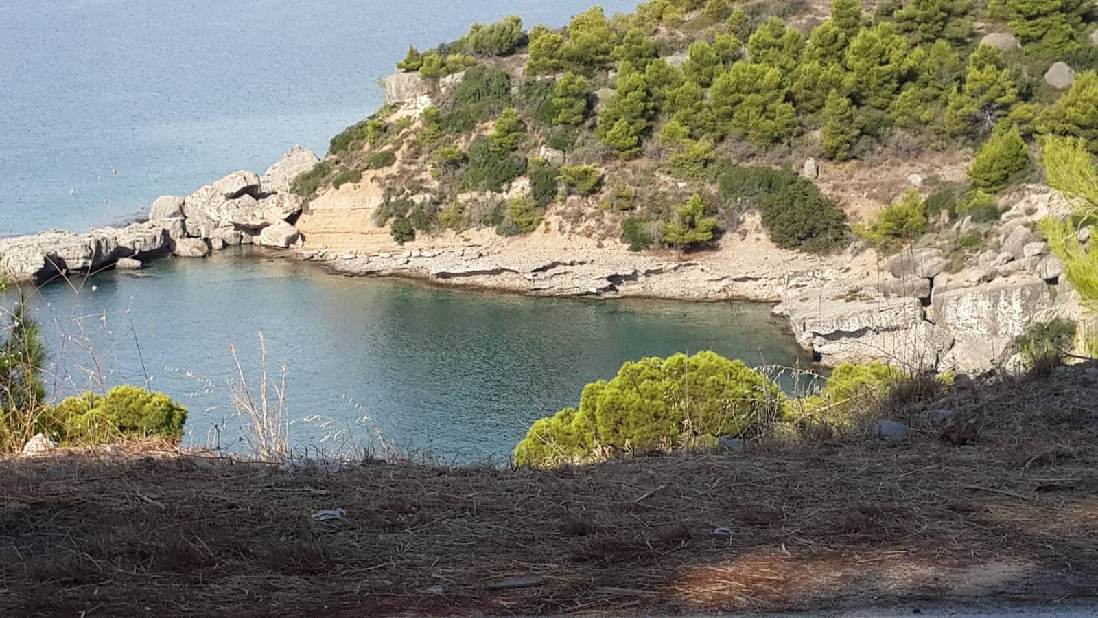 Culinary Delights by the Sea