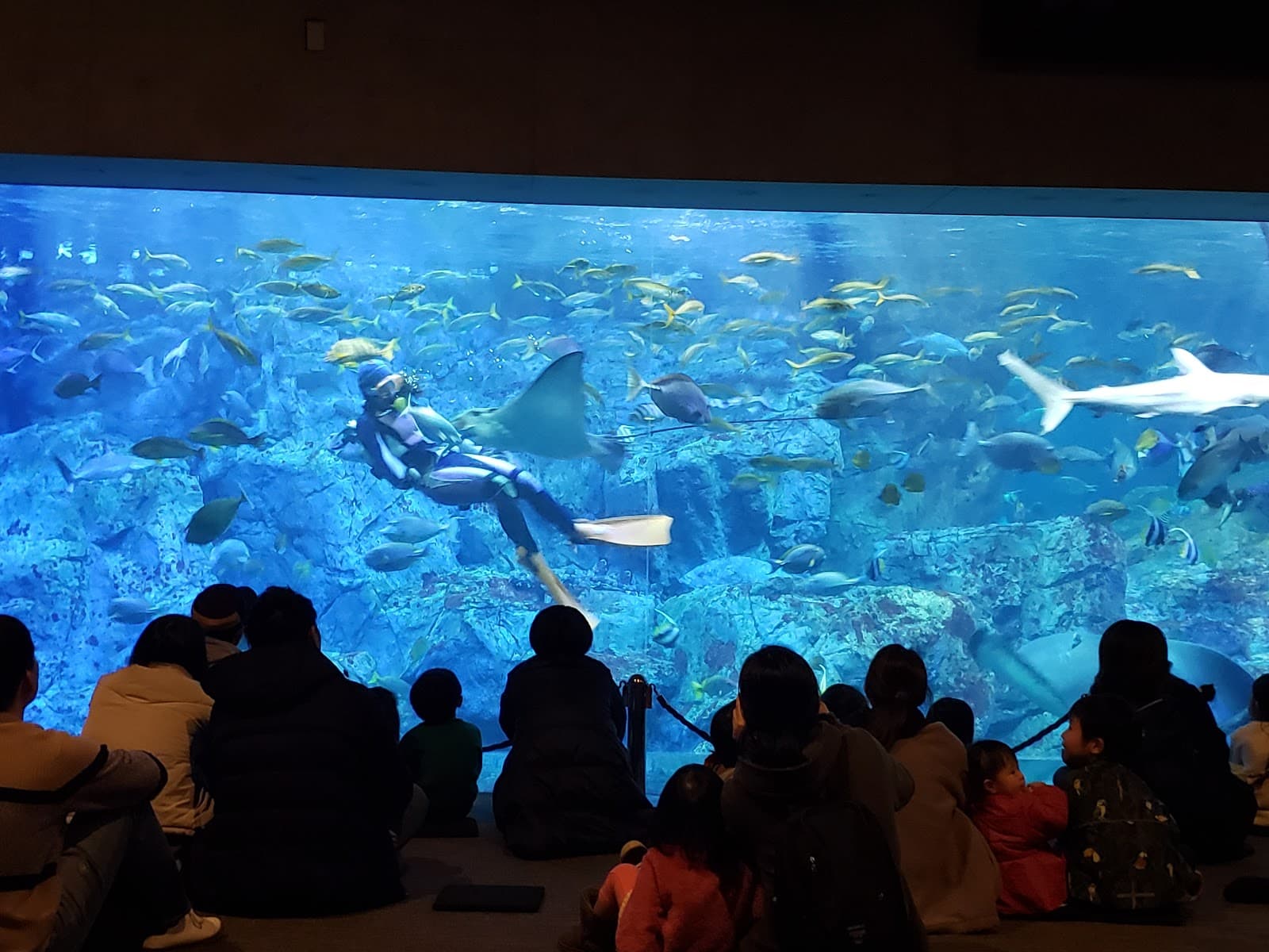 Umitamago Aquarium - Image 1