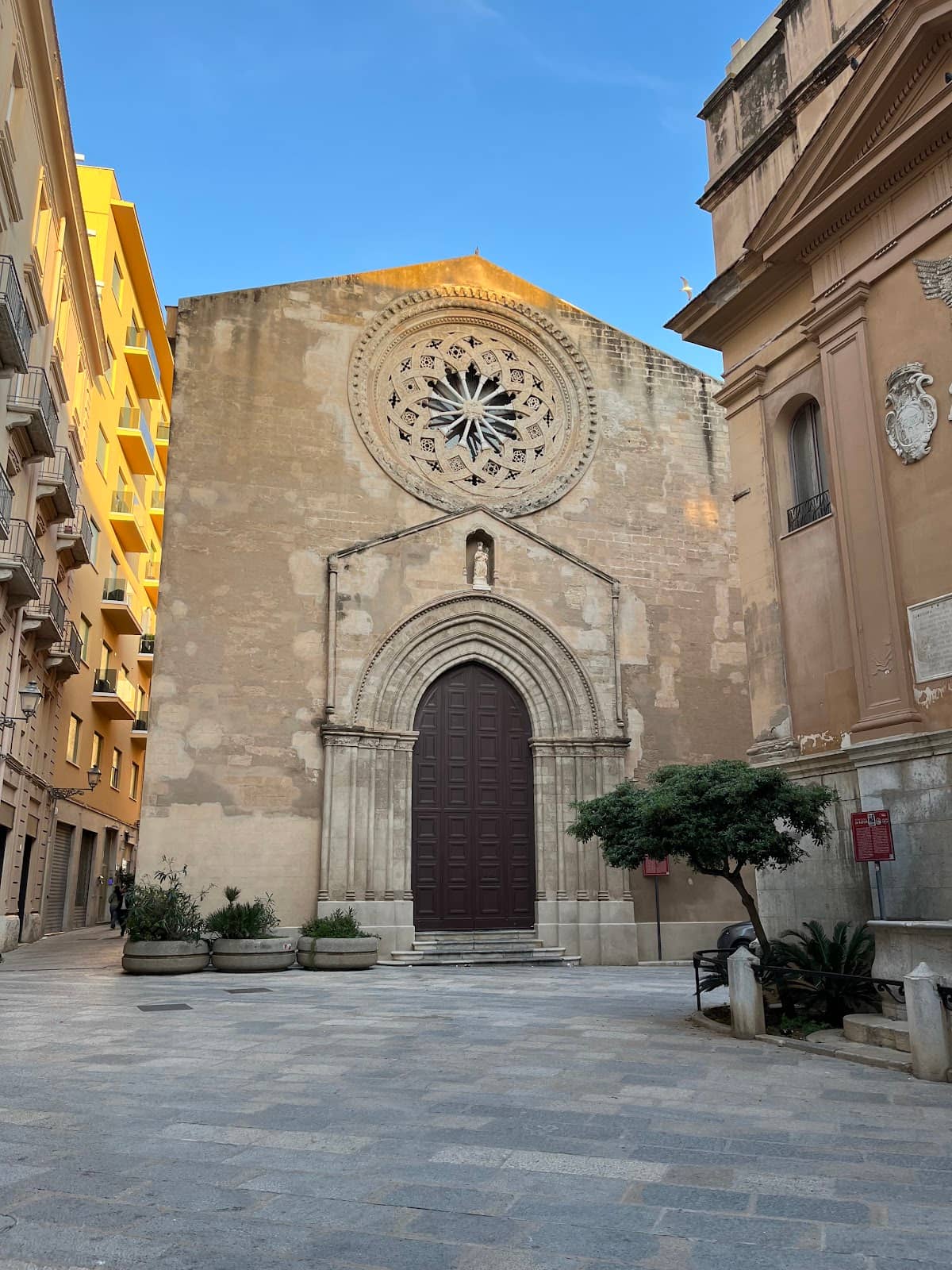 Art Exhibitions & Cultural Events