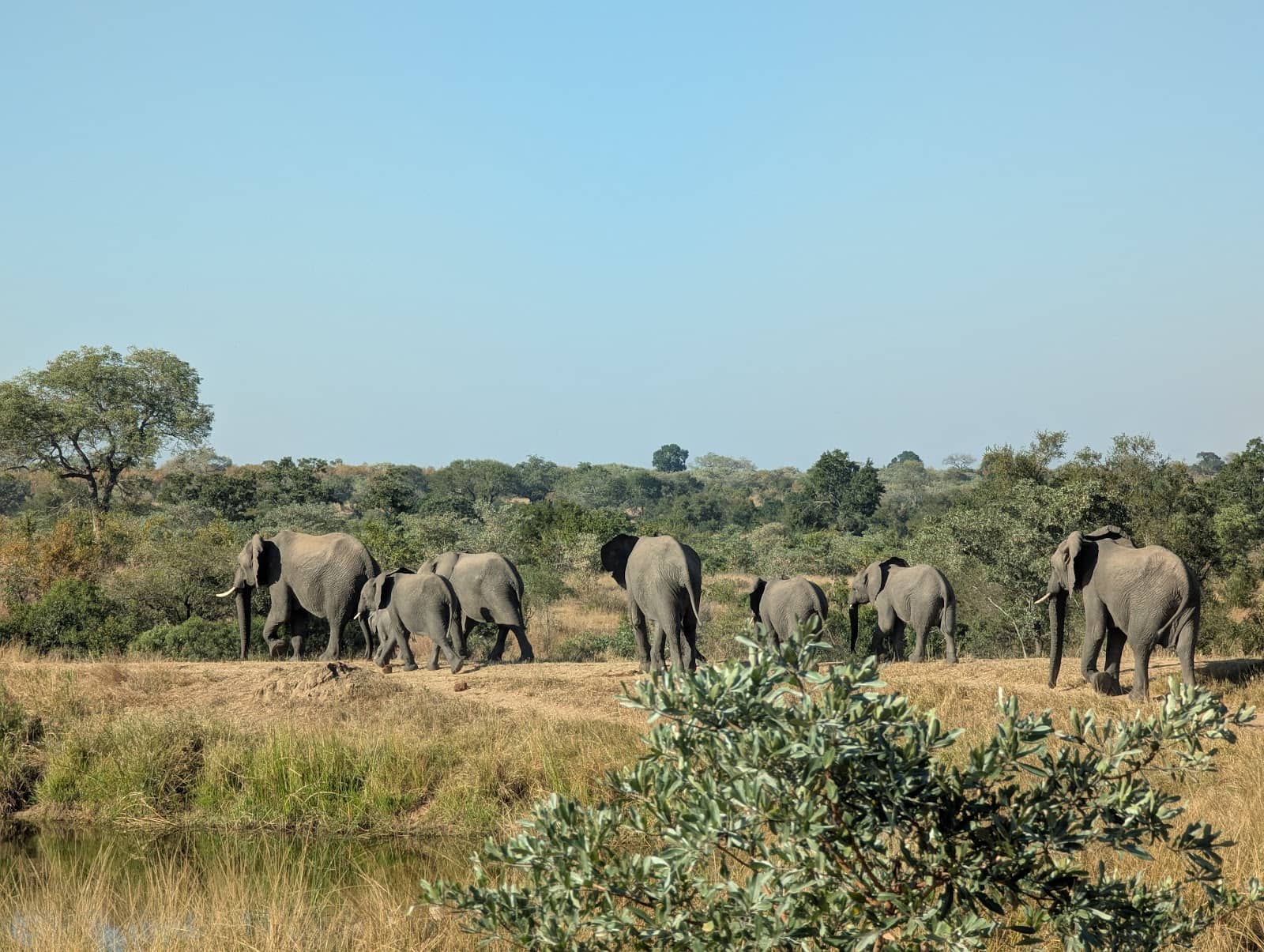 Third hero image
