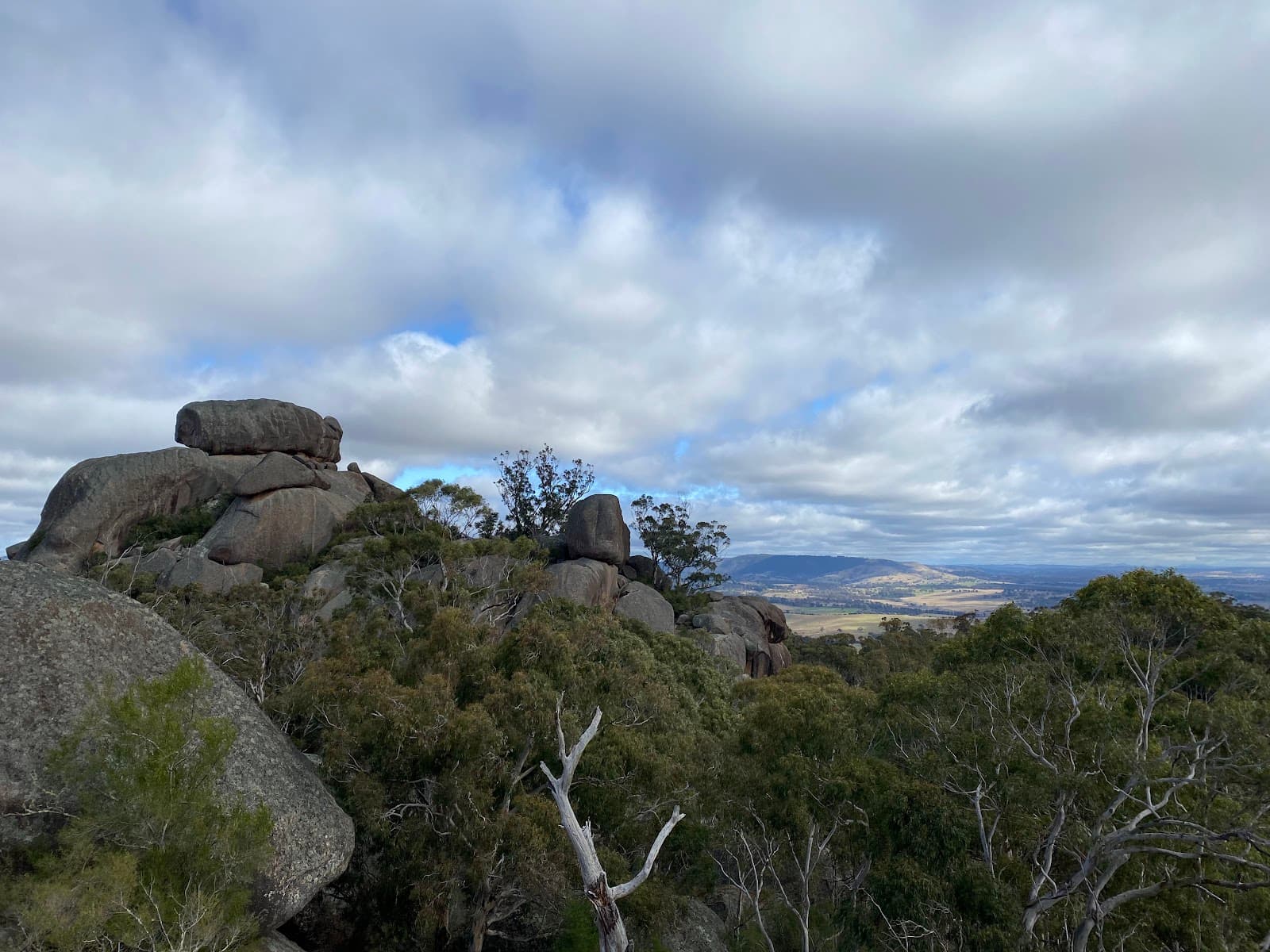 Evans Crown Nature Reserve - Image 1