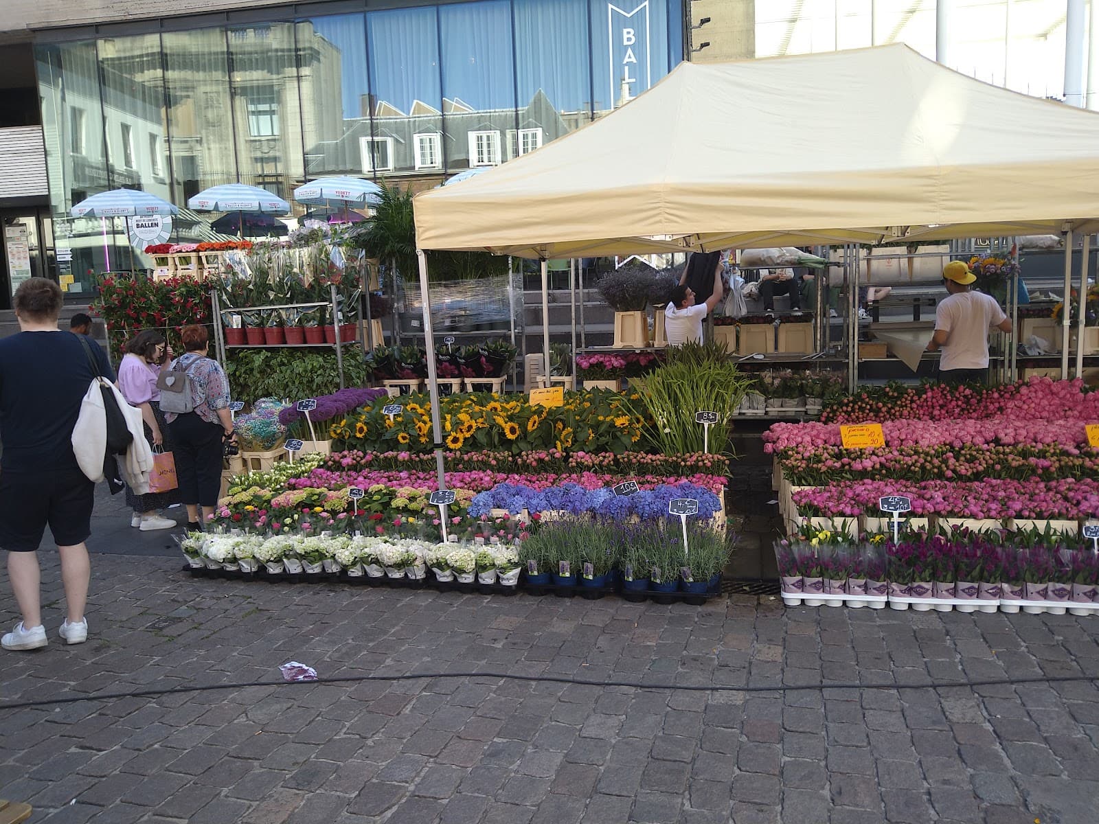 Exotic Market (Saturday) - Image 1