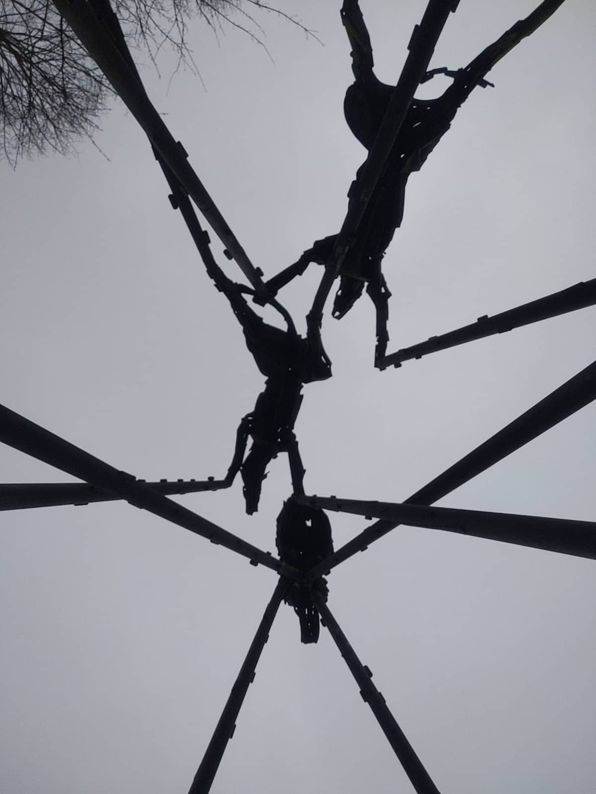 Vertical photo